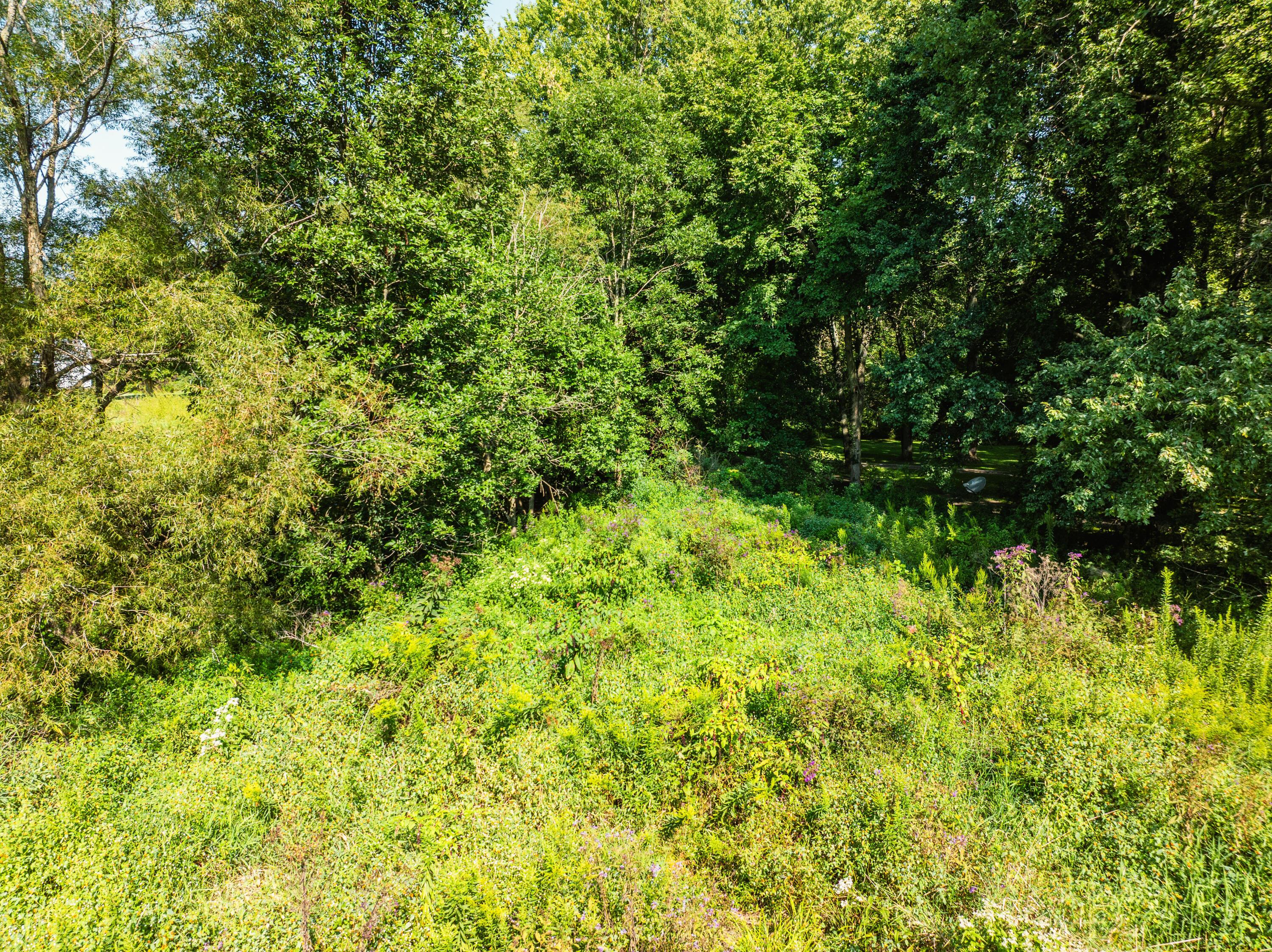 0 Sycamore Road Centerburg, OH 43011 - Photo 56 of 69 DJI_20260827154442_0887_D