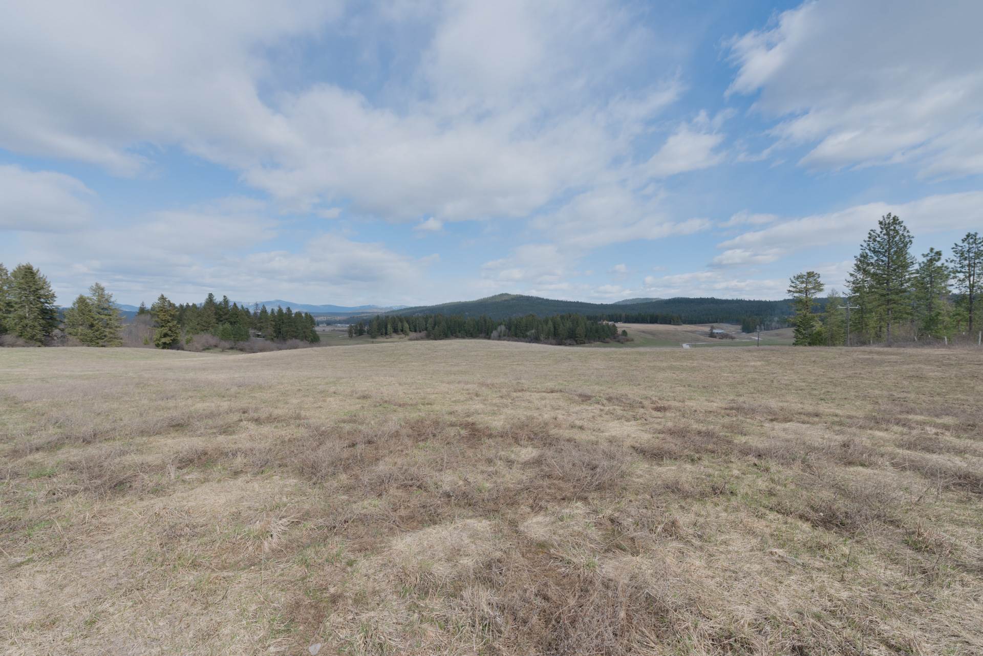 Xx Deer Creek Road Valley, WA 99181 - Photo 8 of 9