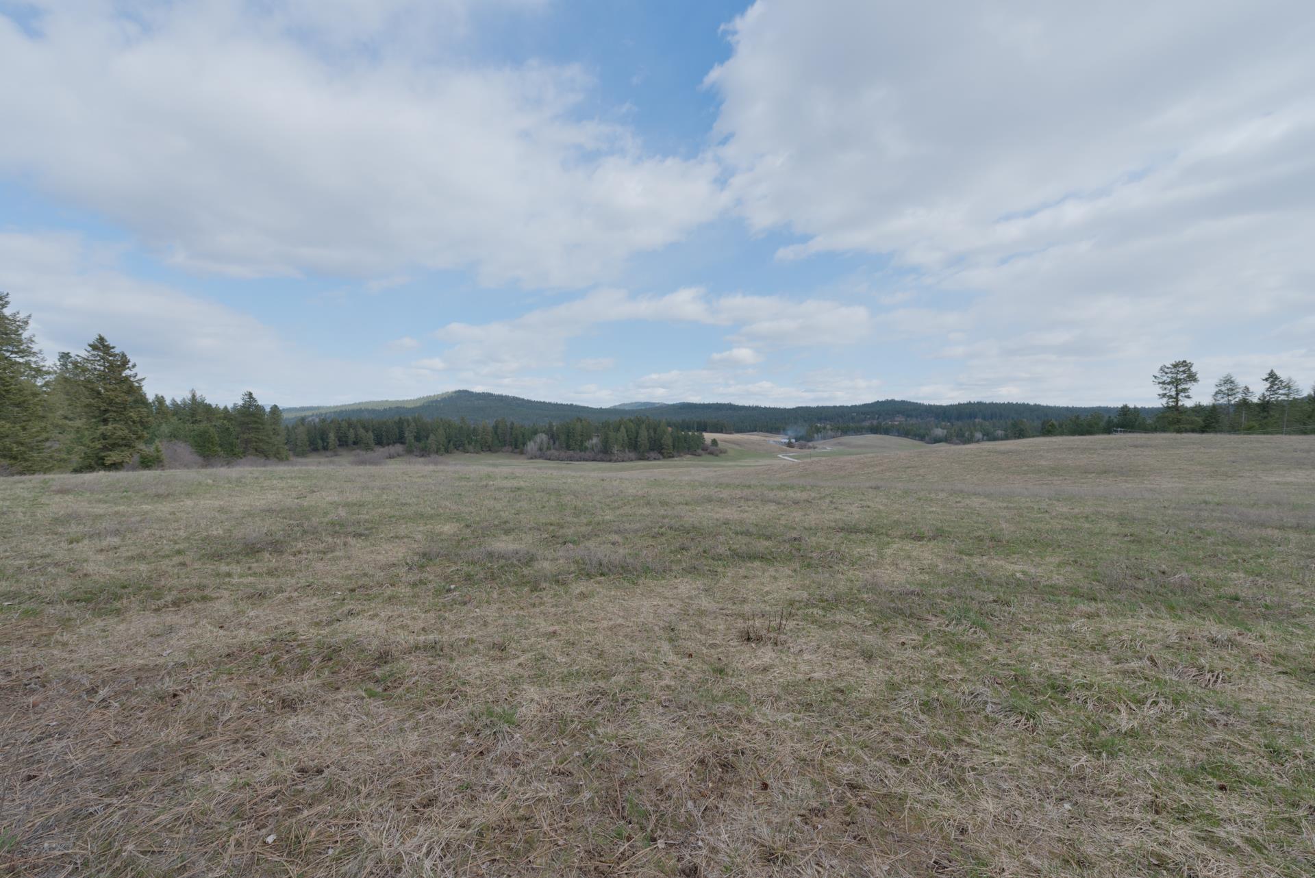 Xx Deer Creek Road Valley, WA 99181 - Photo 9 of 9