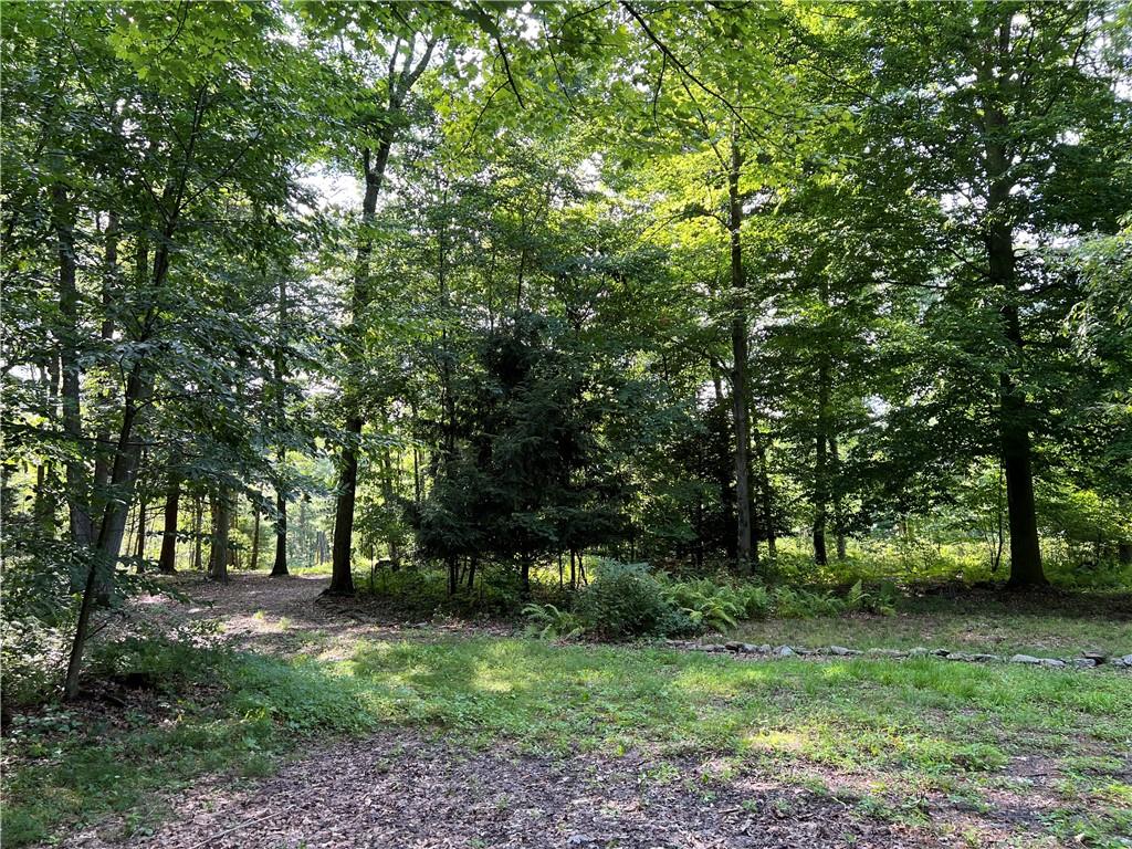 311 Red Line Road Kennerdell, PA 16374 - Photo 19 of 19 Gallery Image 19
