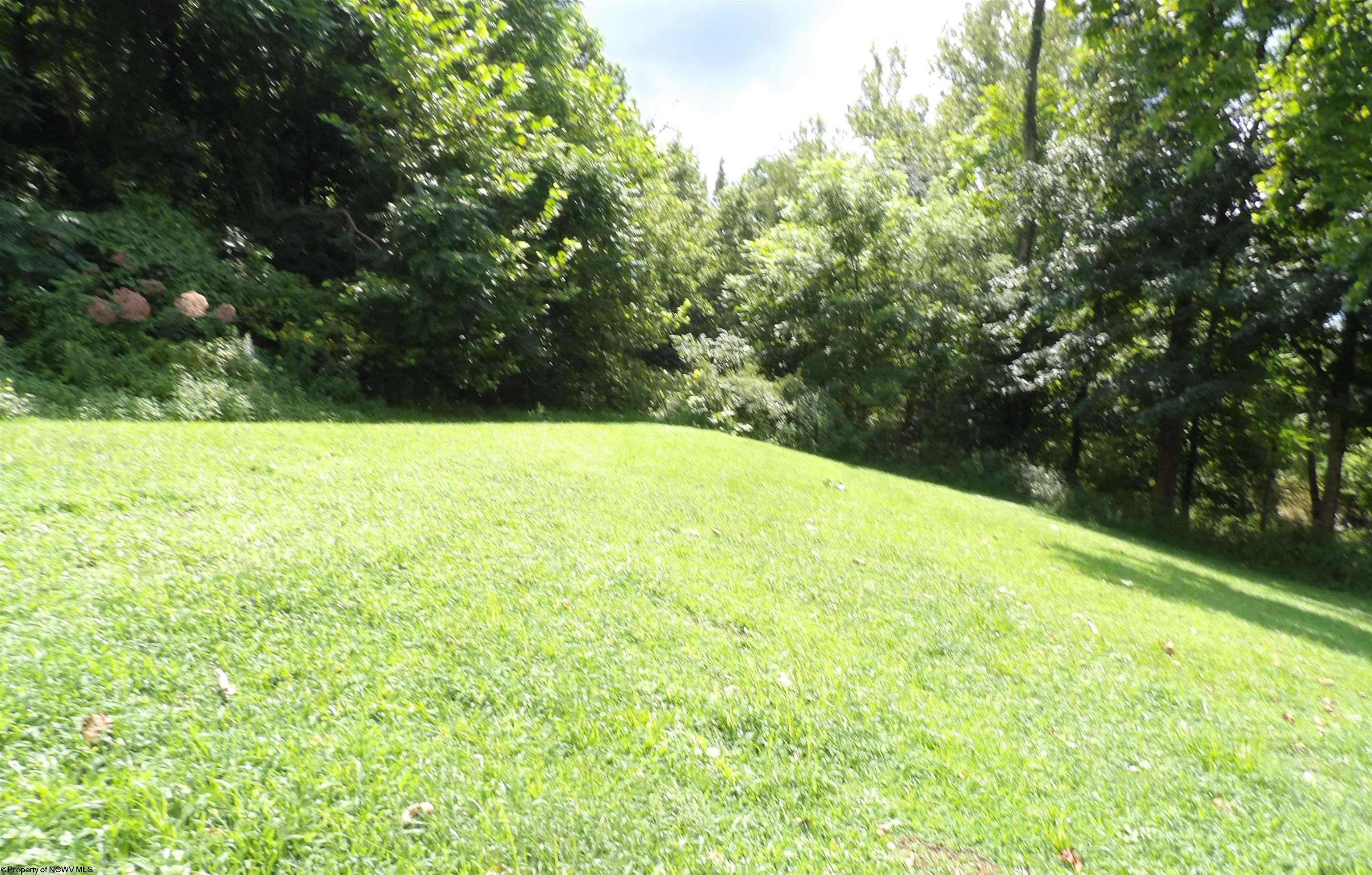 85 Forinash Road Weston, WV 26452 - Photo 7 of 9 Gallery Image 7