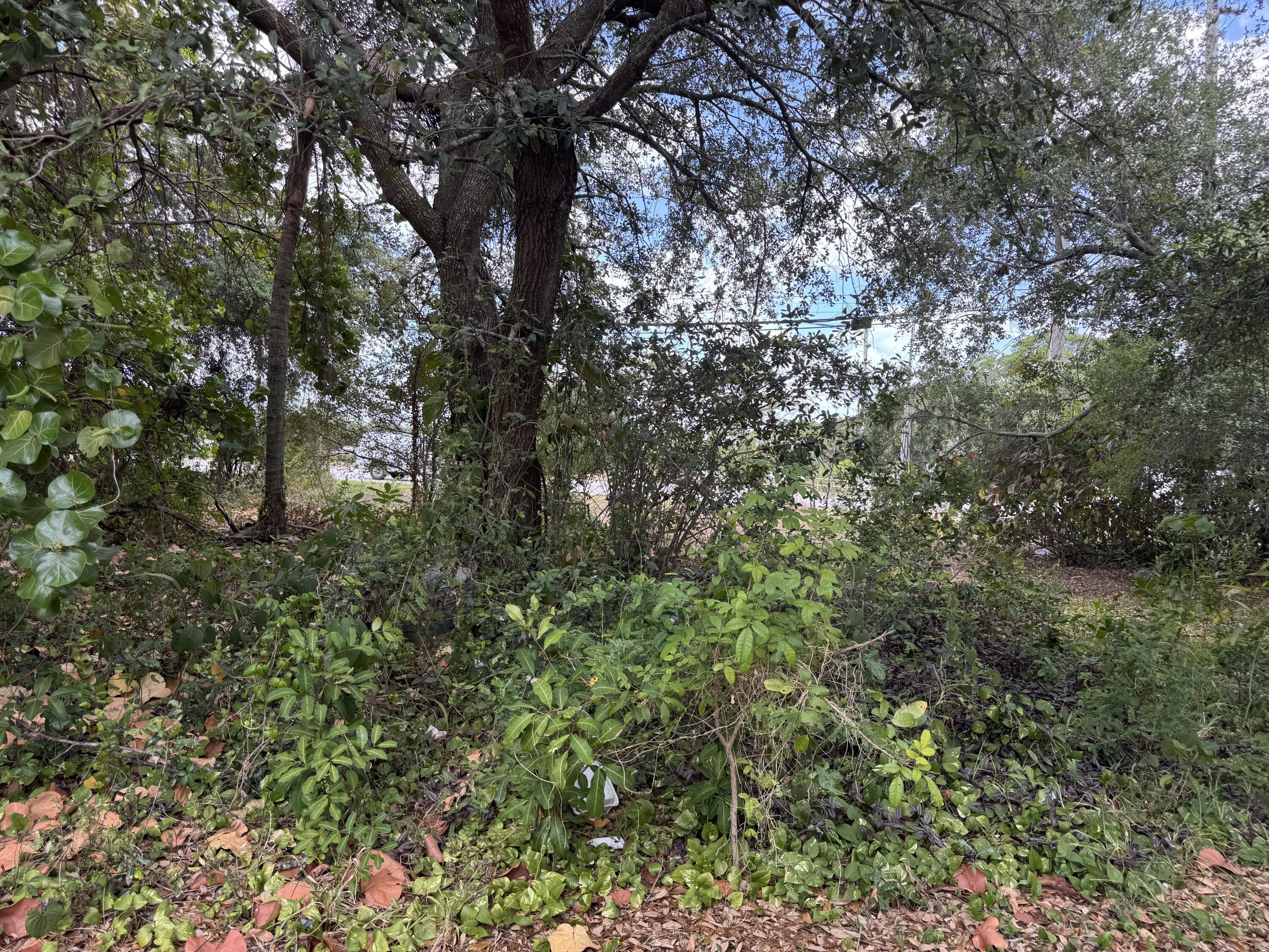 3358 Jog Road Greenacres, FL 33467 - Photo 7 of 15 IMG_4612