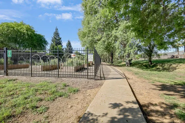 a view of a park with large trees