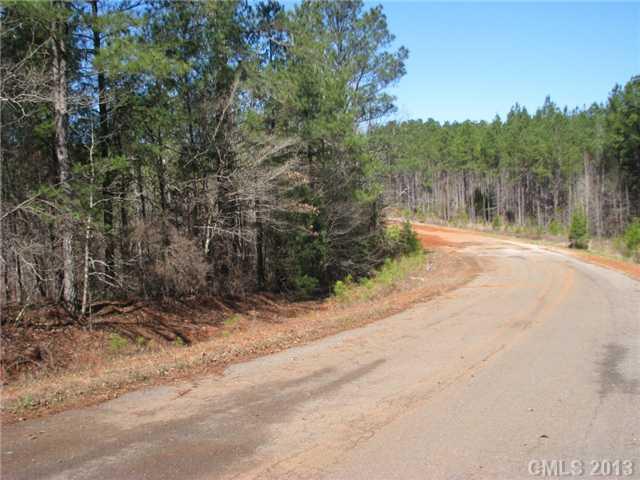 5.5-ac 5.5-ac Goins Road Chester, SC 29706 - Photo 2 of 5