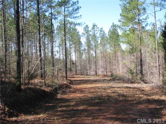 5.5-ac 5.5-ac Goins Road Chester, SC 29706 - Photo 3 of 5