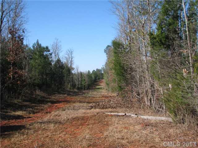 5.5-ac 5.5-ac Goins Road Chester, SC 29706 - Photo 5 of 5