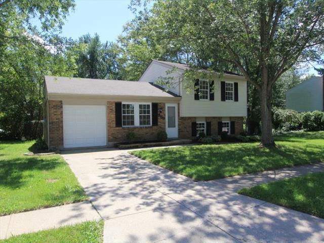 669 Woodgate Road Cincinnati, OH 45244 - Photo 1 of 1 Gallery Image 1