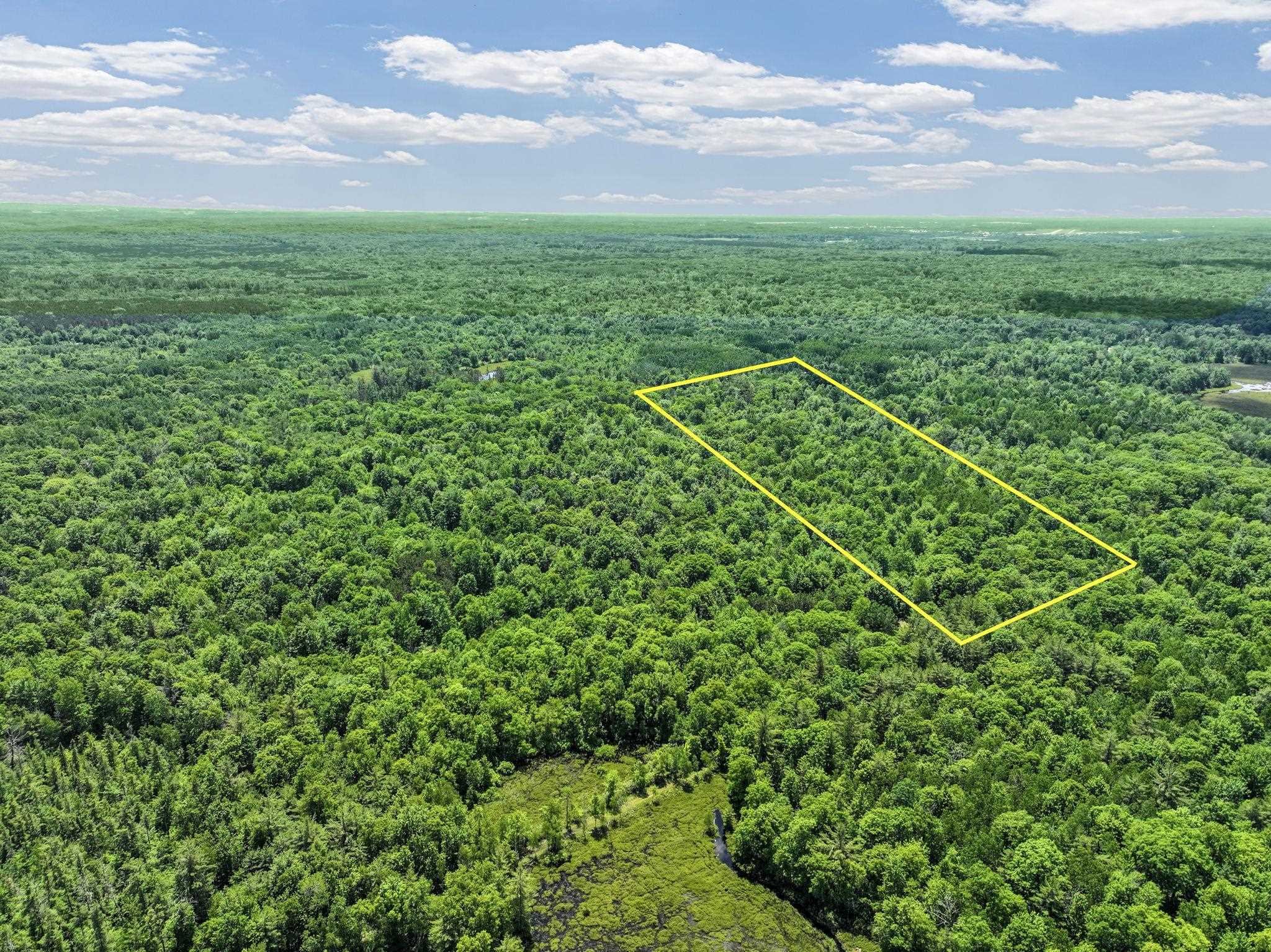 Parcel A Seeley Road Lake City, MI 49651 - Photo 2 of 16