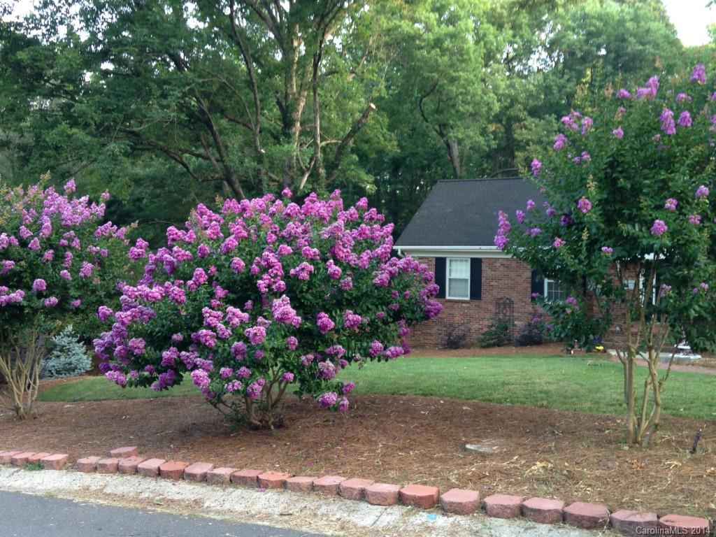 2711 Lilly Mill Road Charlotte, NC 28210 - Photo 17 of 20 Gallery Image 17