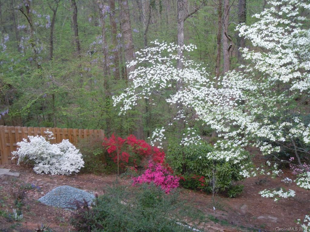 2711 Lilly Mill Road Charlotte, NC 28210 - Photo 19 of 20 Gallery Image 19