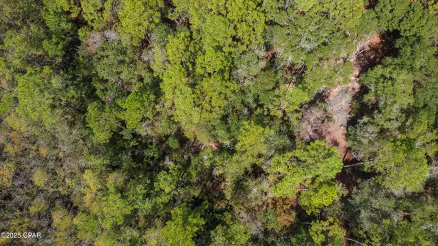 $28,000 | 2724 Muir Lane, Bonifay, FL 32425