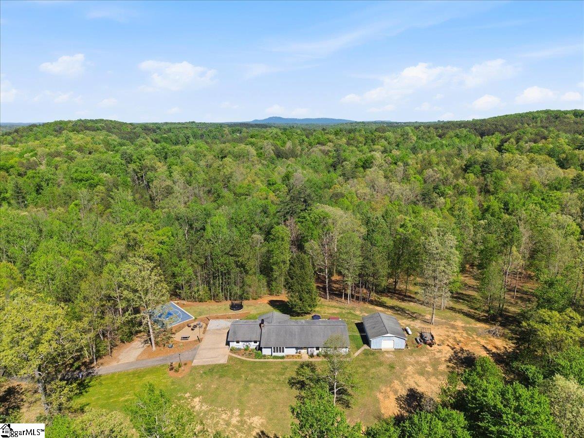 1318 Earls Bridge Road Easley, SC 29640 - Photo 2 of 48