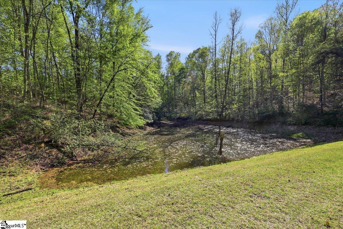 1318 Earls Bridge Road Easley, SC 29640 - Photo 41 of 48