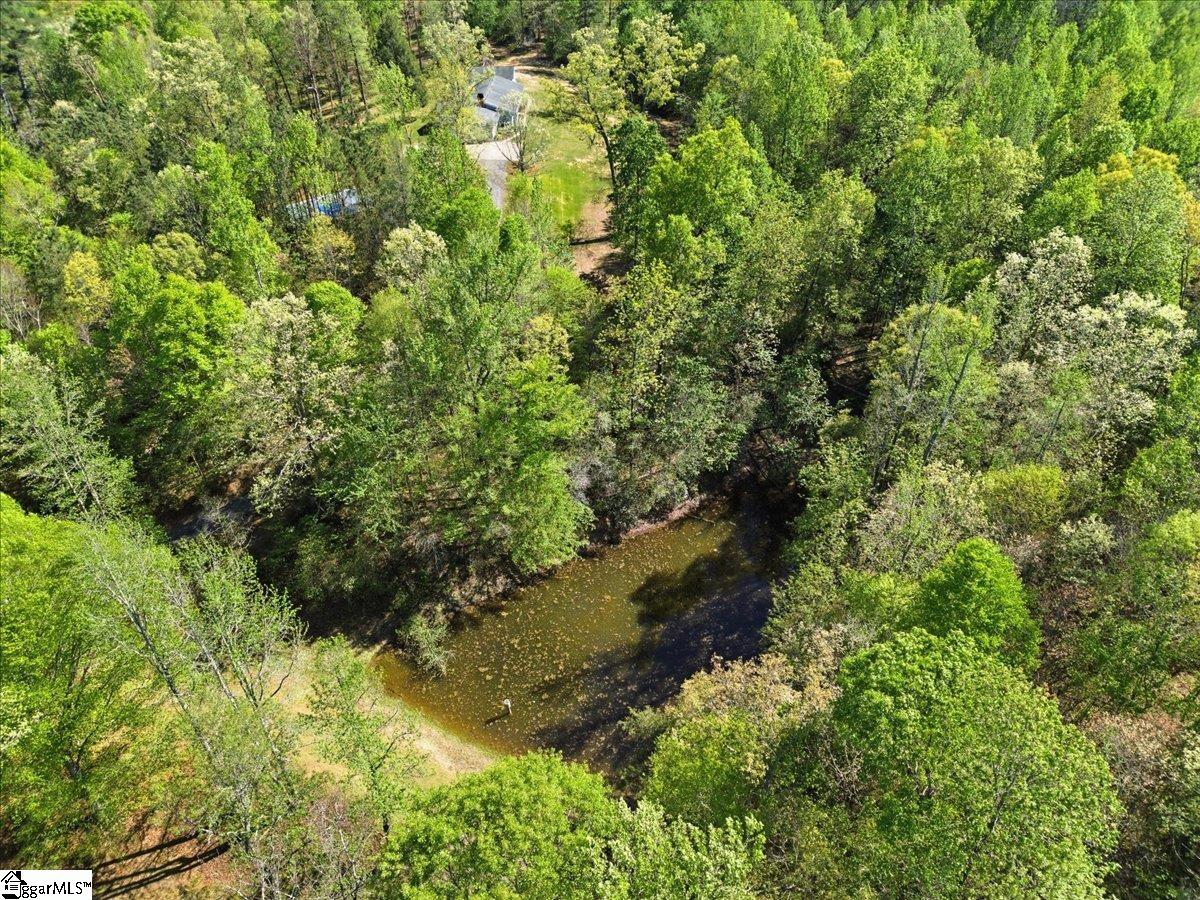 1318 Earls Bridge Road Easley, SC 29640 - Photo 42 of 48