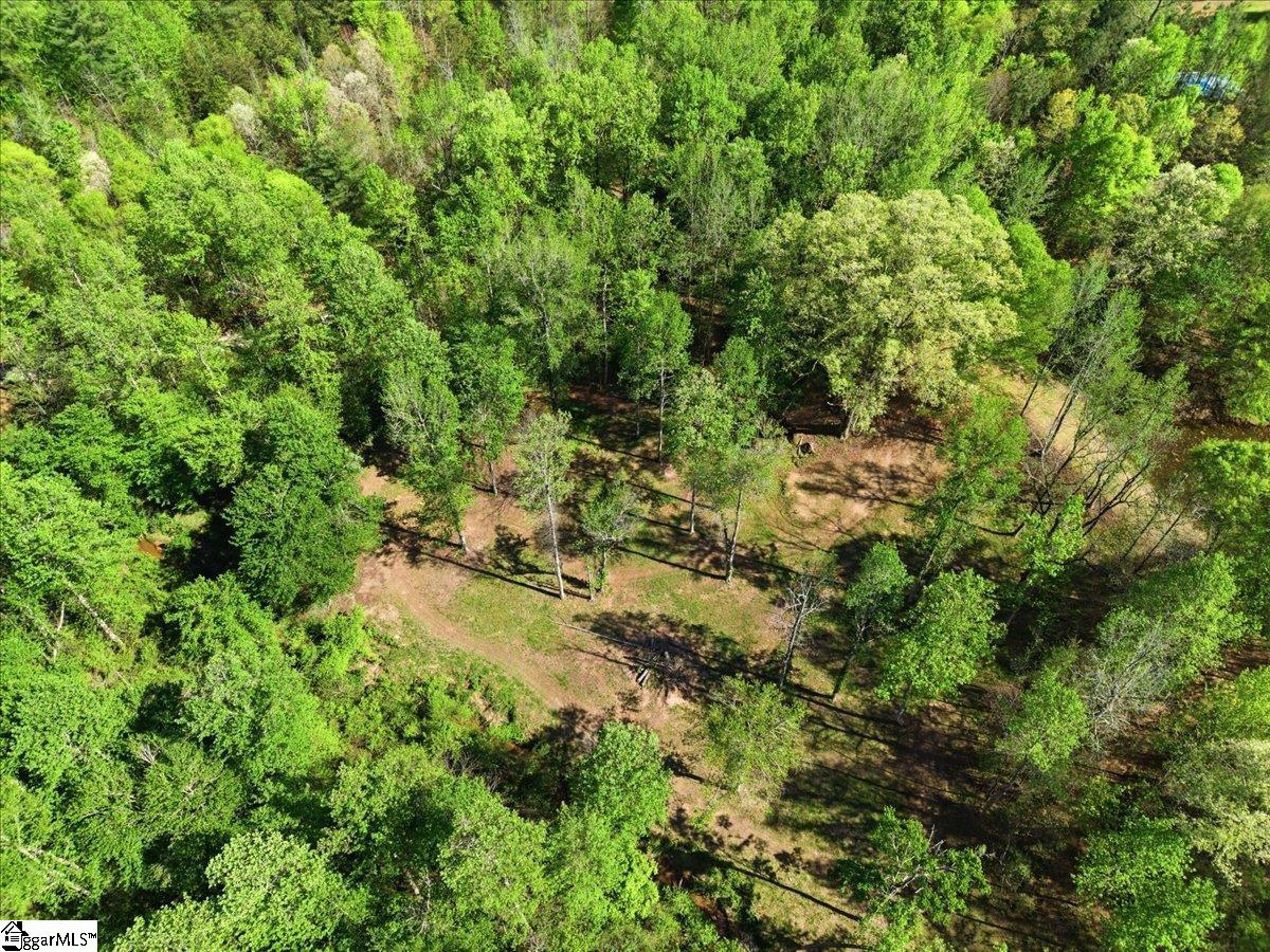 1318 Earls Bridge Road Easley, SC 29640 - Photo 46 of 48