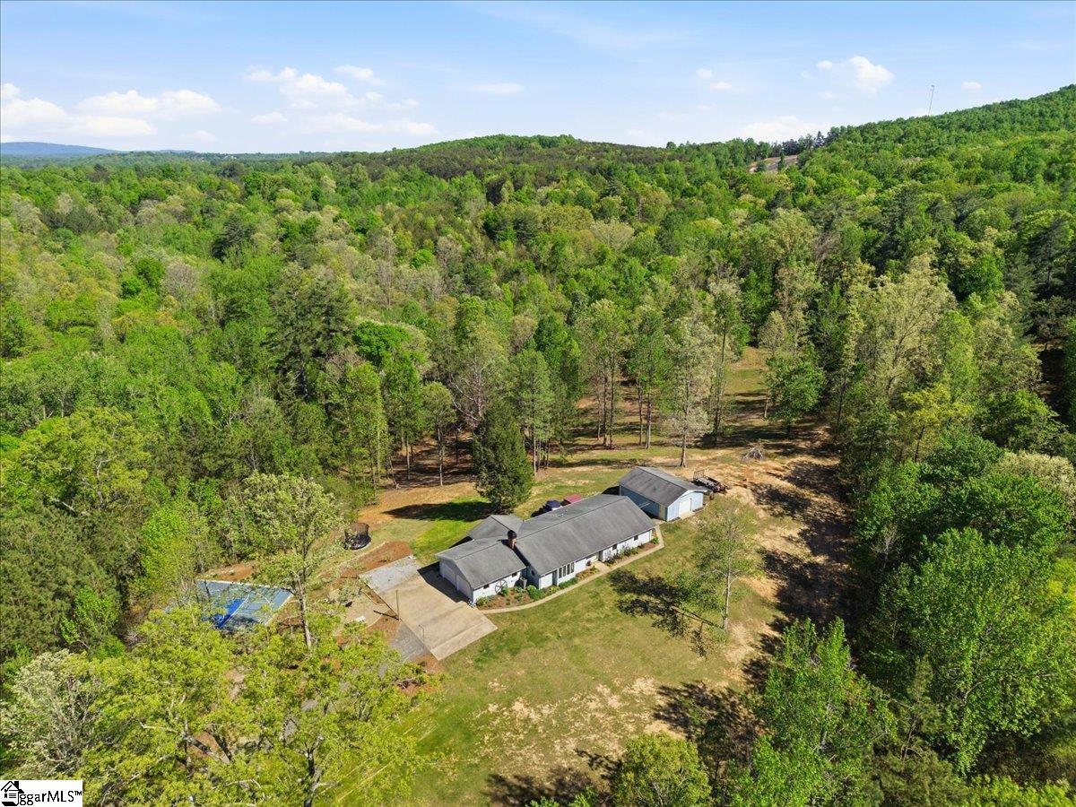 1318 Earls Bridge Road Easley, SC 29640 - Photo 48 of 48