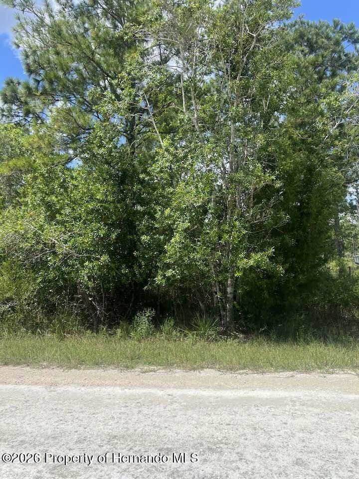 0 Parrot Road North Weeki Wachee, FL 34614 - Photo 19 of 24 Gallery Image 19