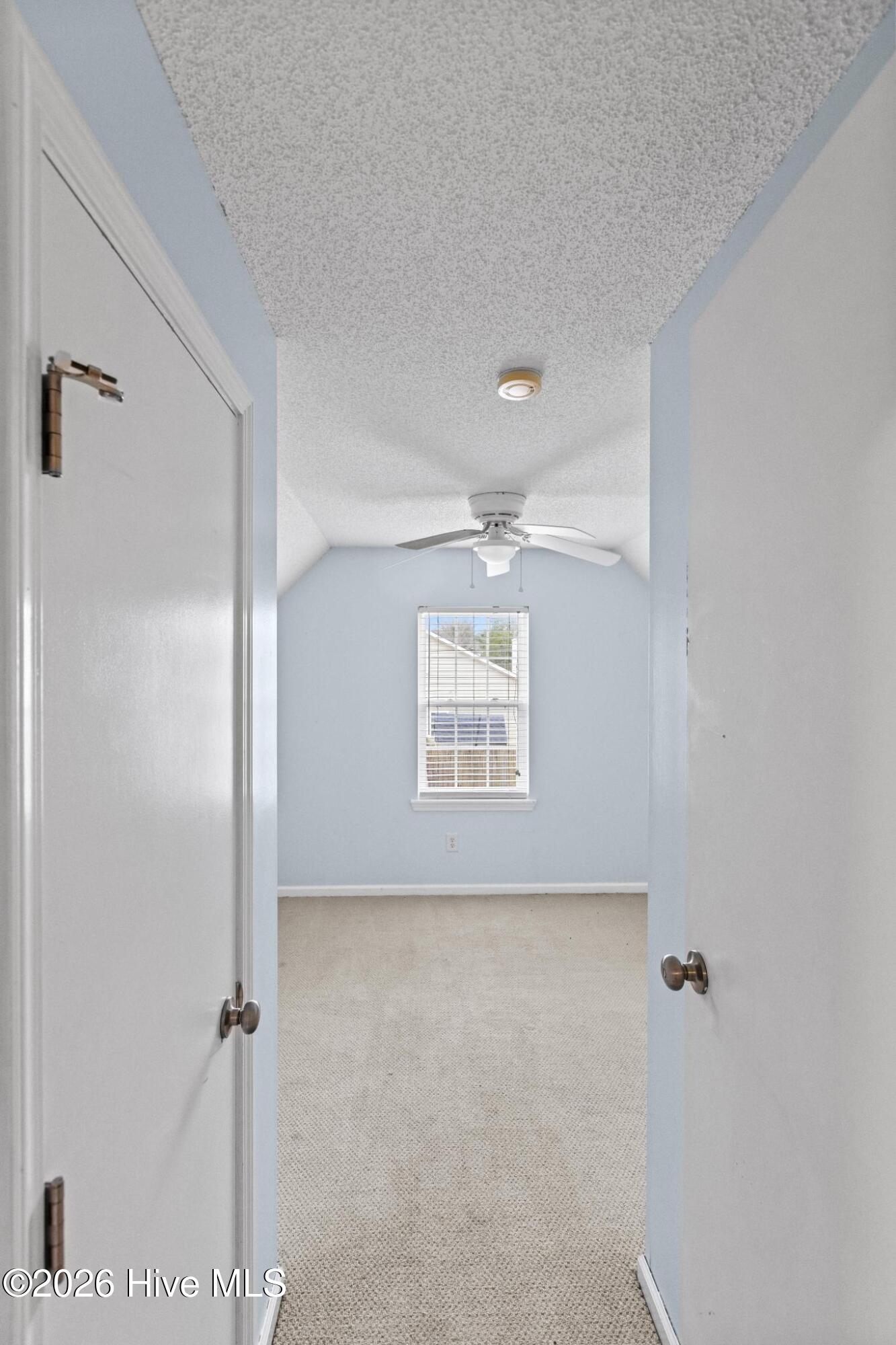 105 Grismill Road Jacksonville, NC 28540 - Photo 16 of 31 425A5771