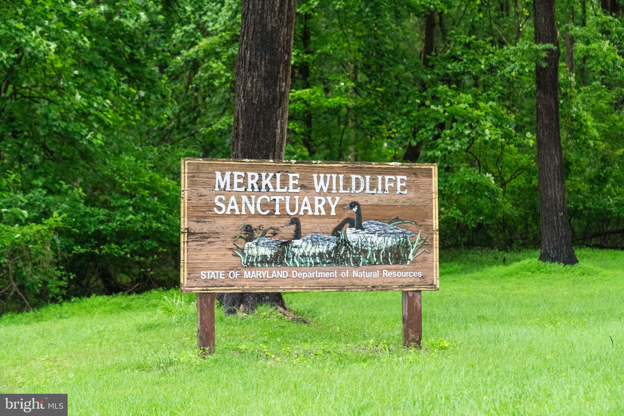 10007 Croom Road Upper Marlboro, MD 20772 - Photo 114 of 134 Minutes from 1600 ac Merkle Wildlife Sanctuary
