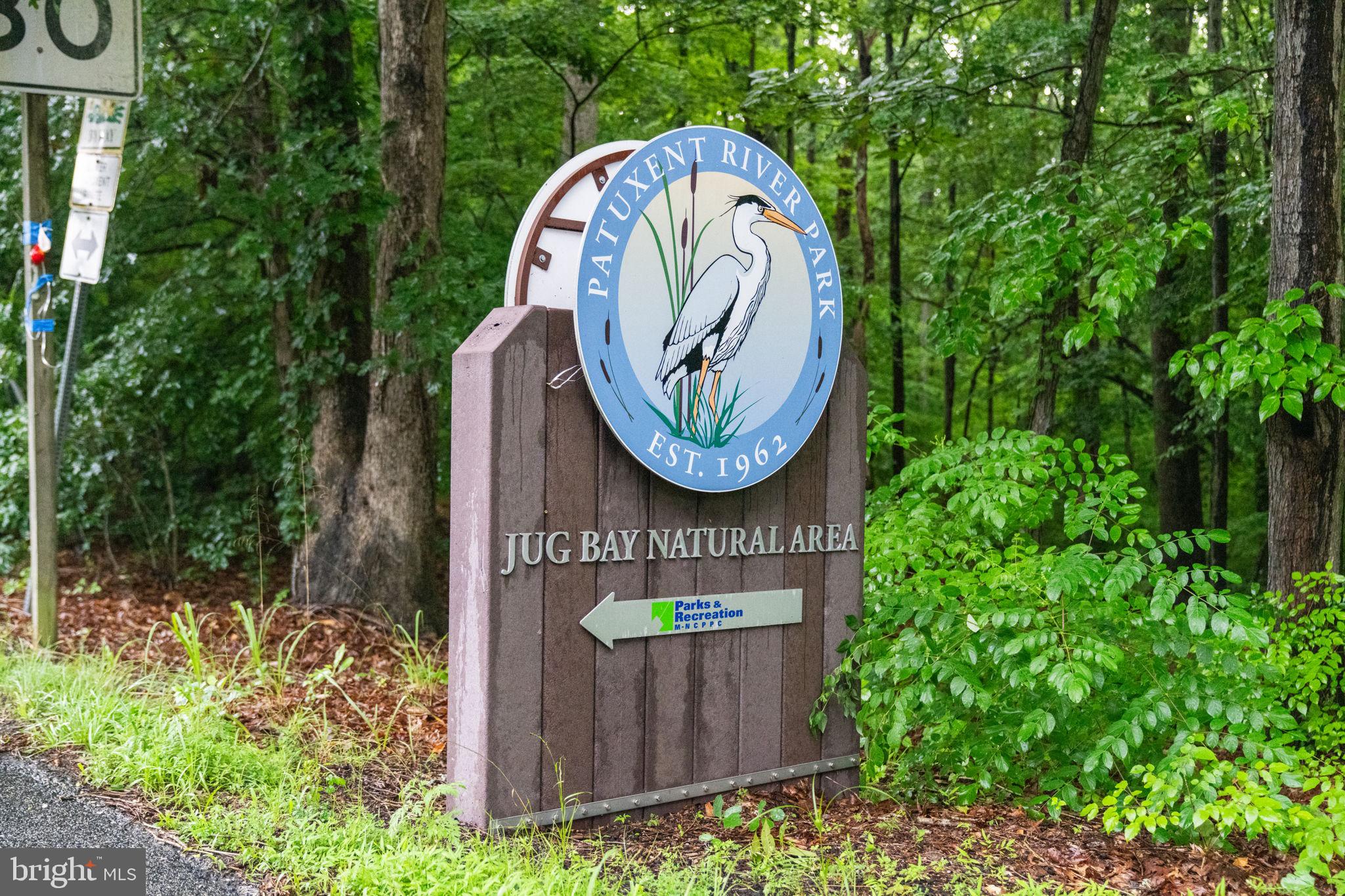 10007 Croom Road Upper Marlboro, MD 20772 - Photo 117 of 134 Jug Bay Natural Area - so much green, fresh air