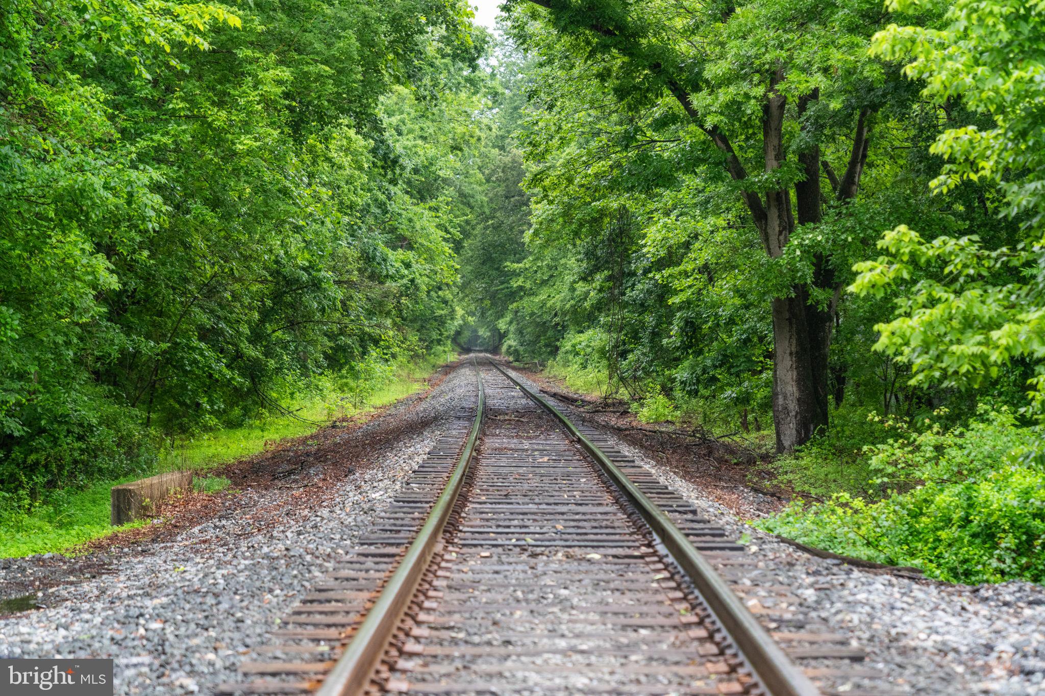10007 Croom Road Upper Marlboro, MD 20772 - Photo 119 of 134 Rail Road