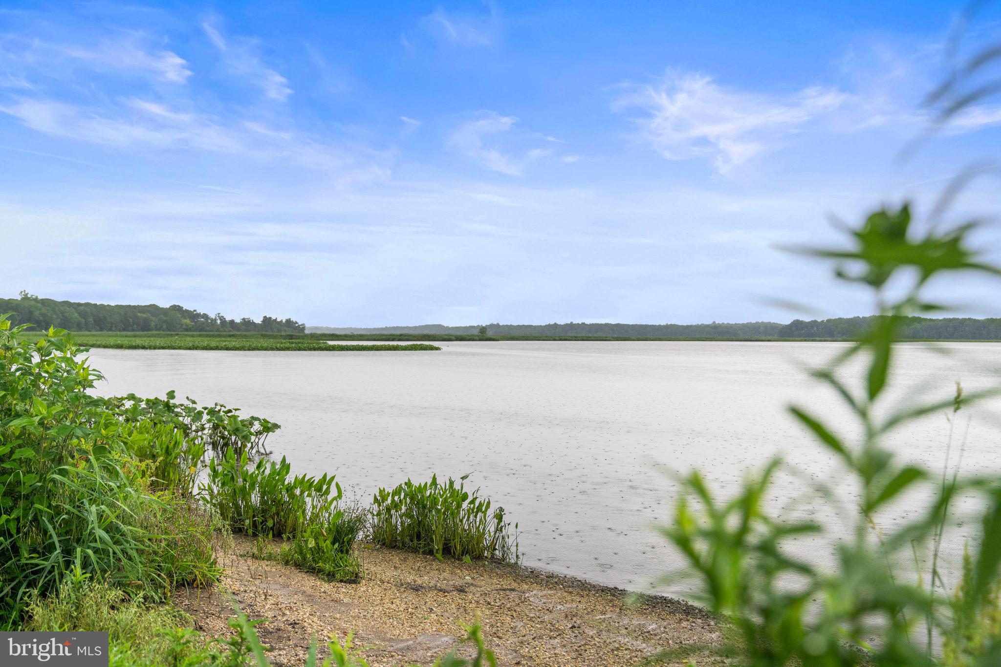 10007 Croom Road Upper Marlboro, MD 20772 - Photo 126 of 134 a view of a lake with a yard