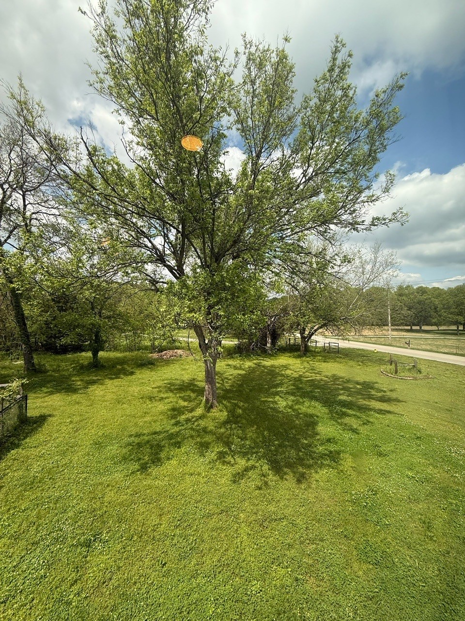 626 Murray-Kittrell Road Readyville, TN 37149 - Photo 6 of 29 Gallery Image 6
