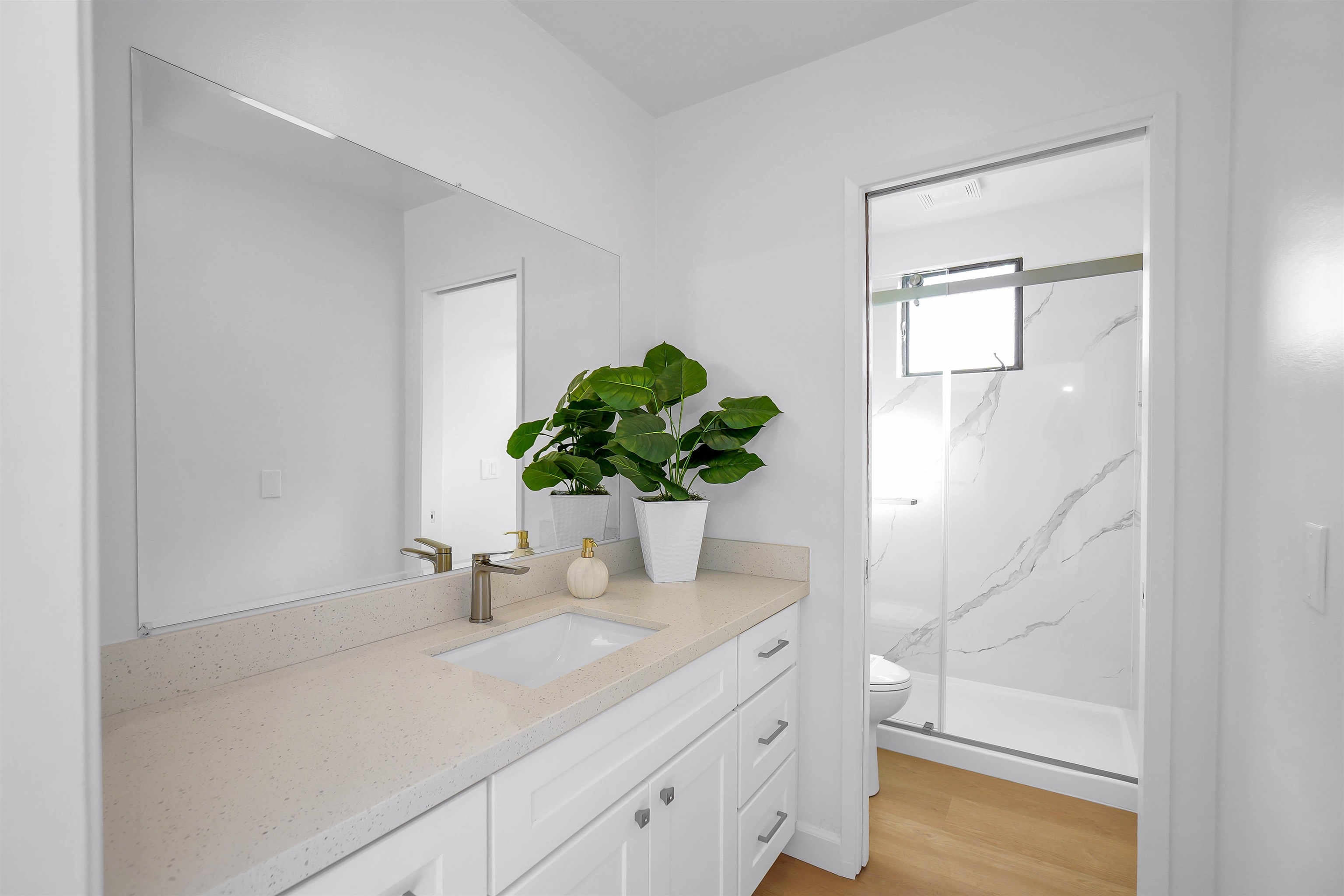 3159 Rowe Place Fremont, CA 94536 - Photo 12 of 59 a bathroom with a sink a vanity and a potted plant