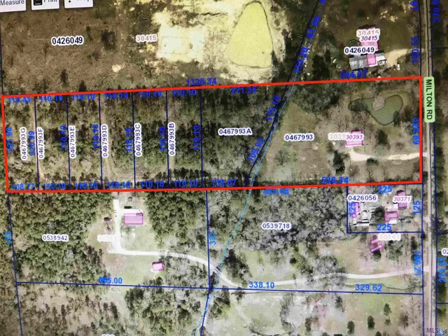 $255,000 | 30393 Milton Road, Walker, LA 70785