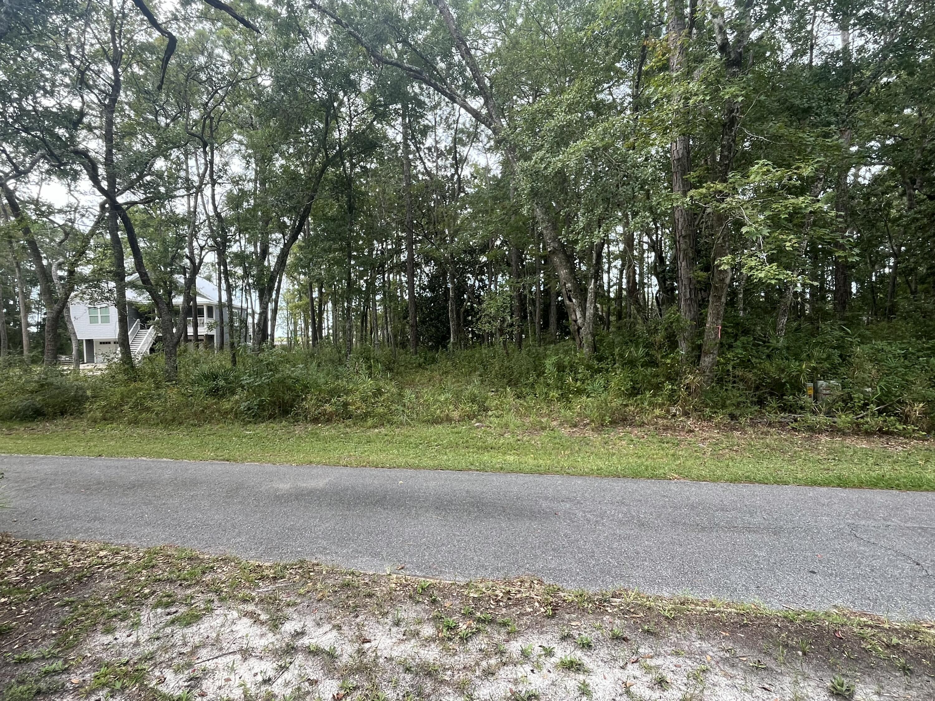 Lot 14 Bayside Drive Freeport, FL 32439 - Photo 5 of 7 a view of a yard with a tree