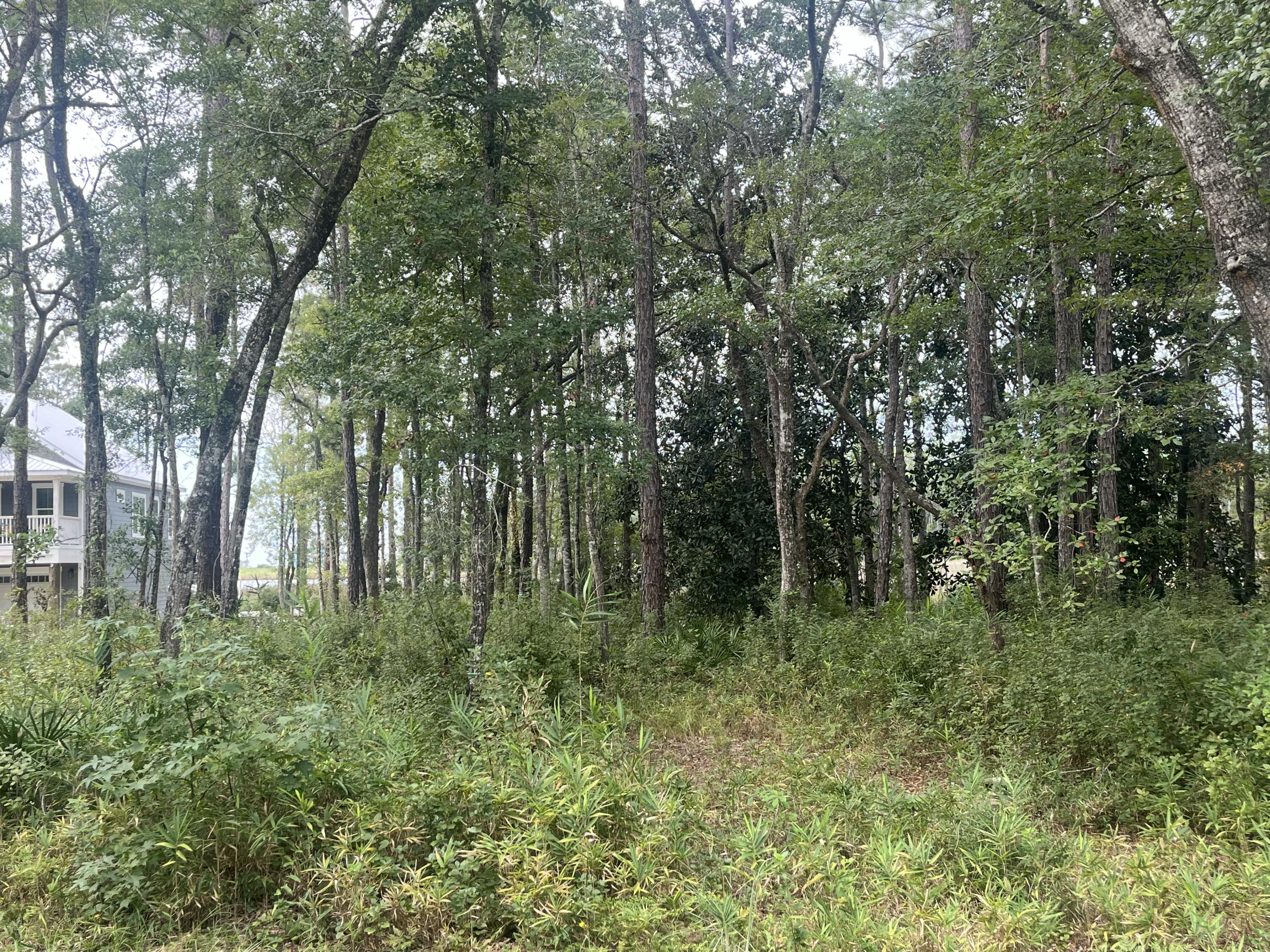 Lot 14 Bayside Drive Freeport, FL 32439 - Photo 6 of 7 a view of outdoor space and green space