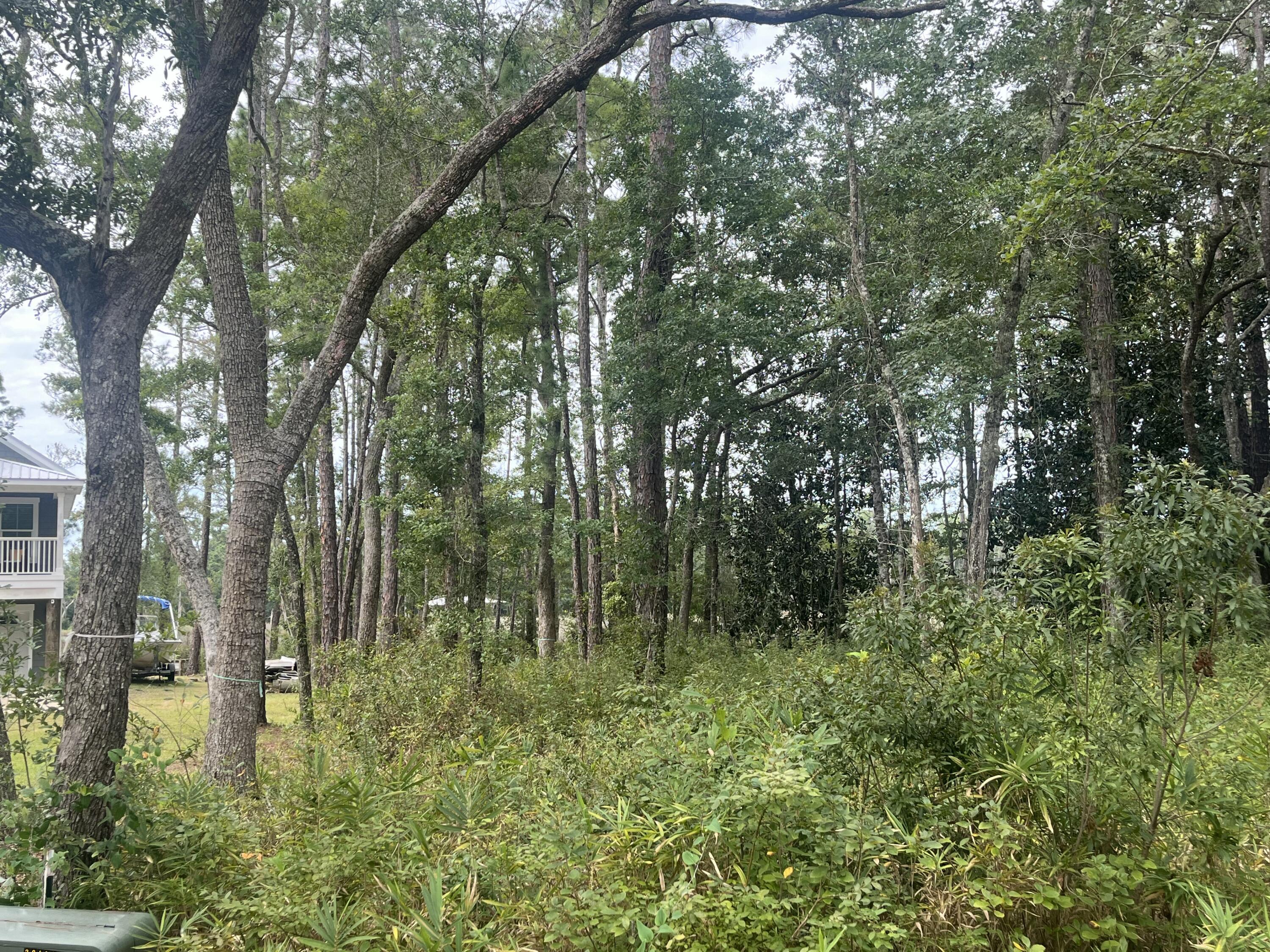 Lot 14 Bayside Drive Freeport, FL 32439 - Photo 7 of 7 a view of forest