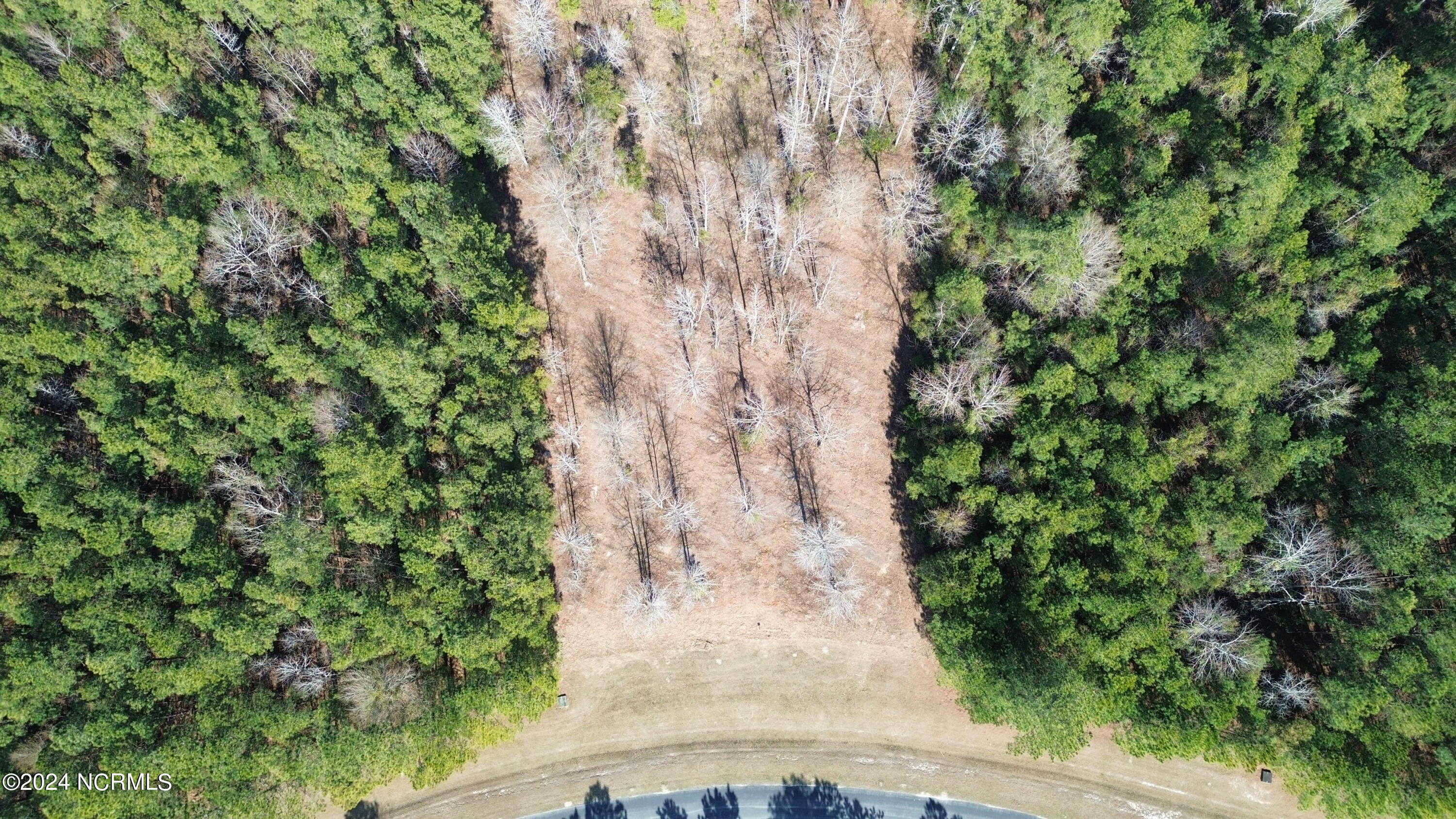 187 Garbacon Drive Beaufort, NC 28516 - Photo 11 of 28 DJI_0065