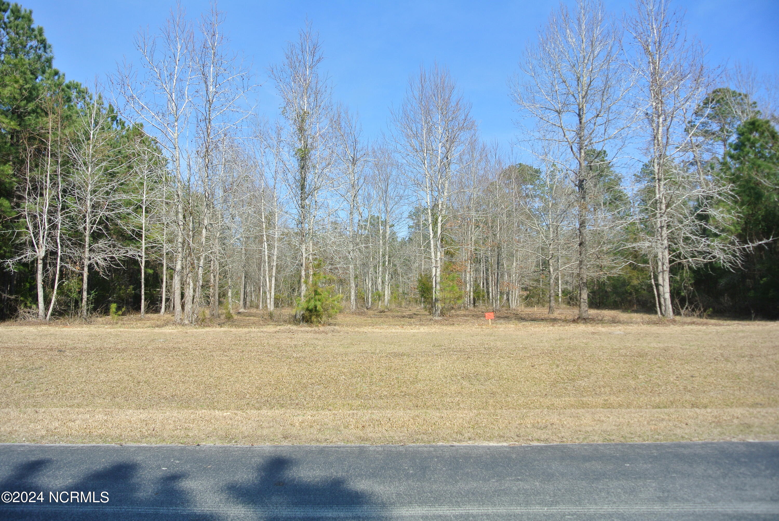 187 Garbacon Drive Beaufort, NC 28516 - Photo 3 of 28 DSC_7021