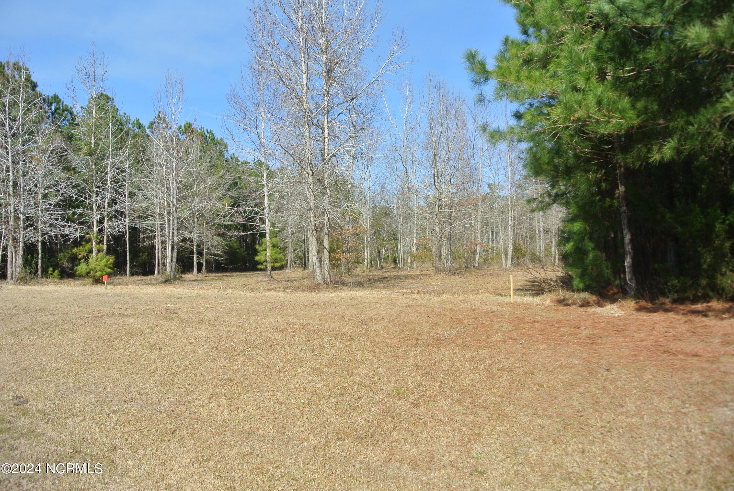 187 Garbacon Drive Beaufort, NC 28516 - Photo 4 of 28 DSC_7022
