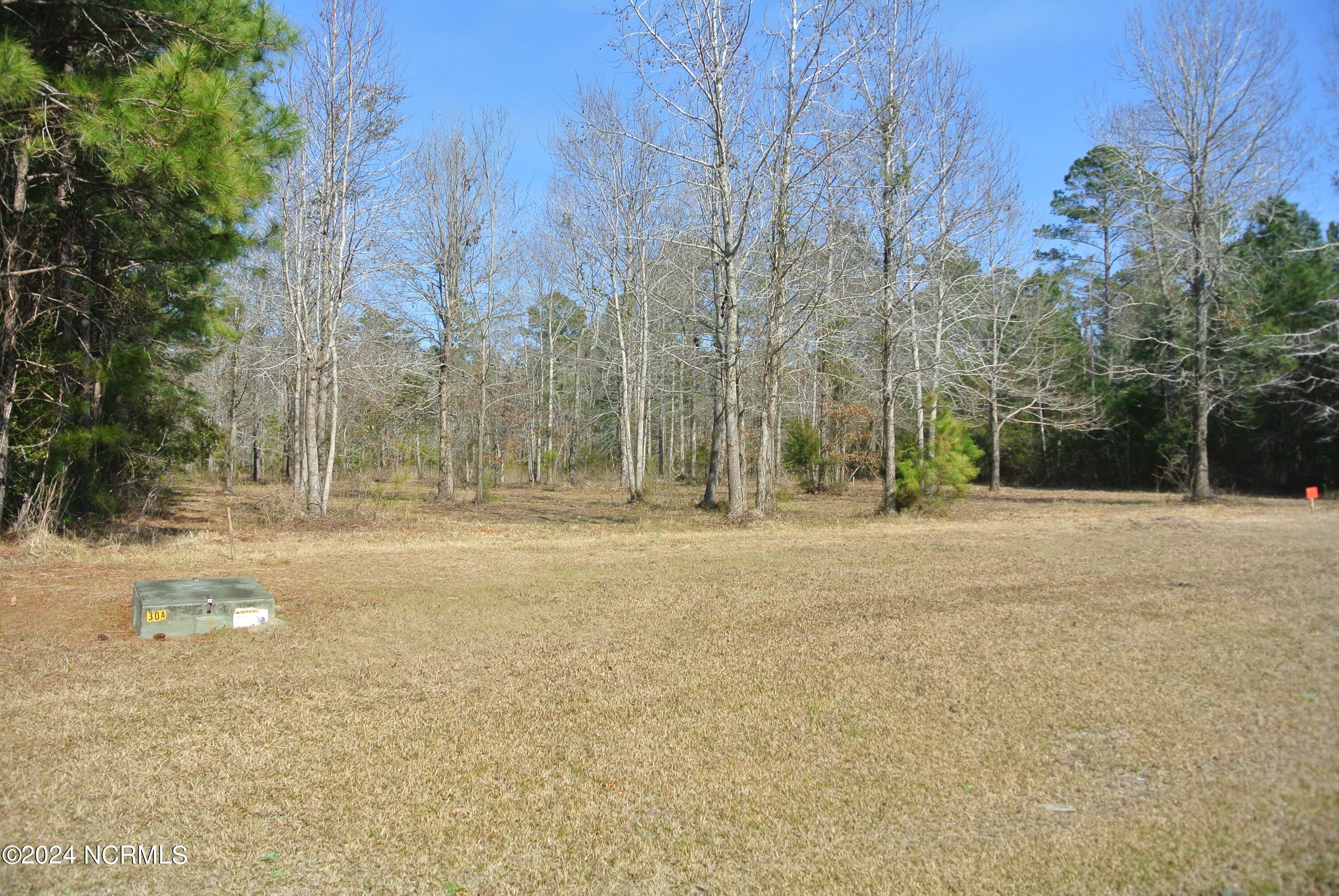 187 Garbacon Drive Beaufort, NC 28516 - Photo 5 of 28 DSC_7023