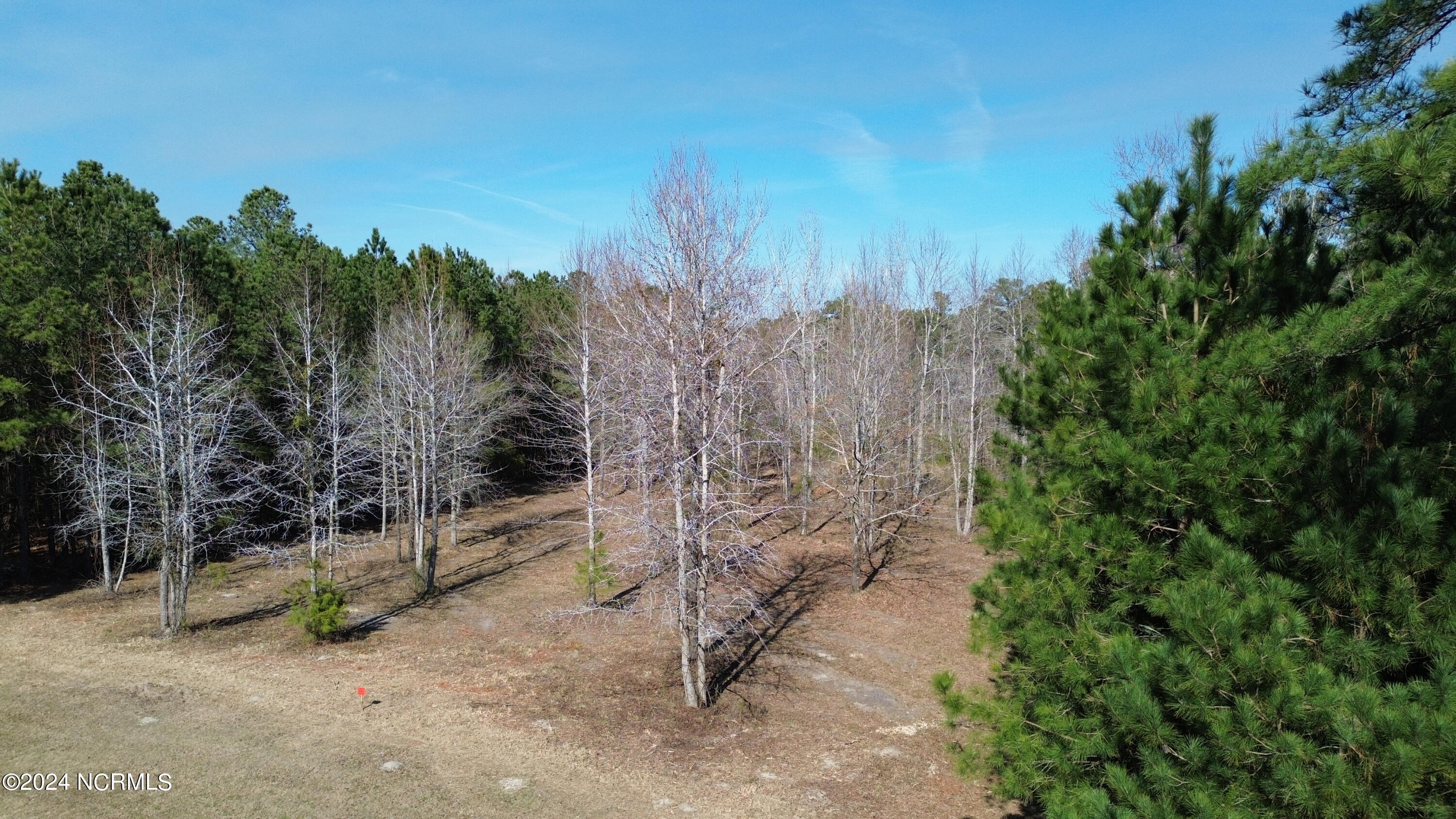 187 Garbacon Drive Beaufort, NC 28516 - Photo 7 of 28 DJI_0059