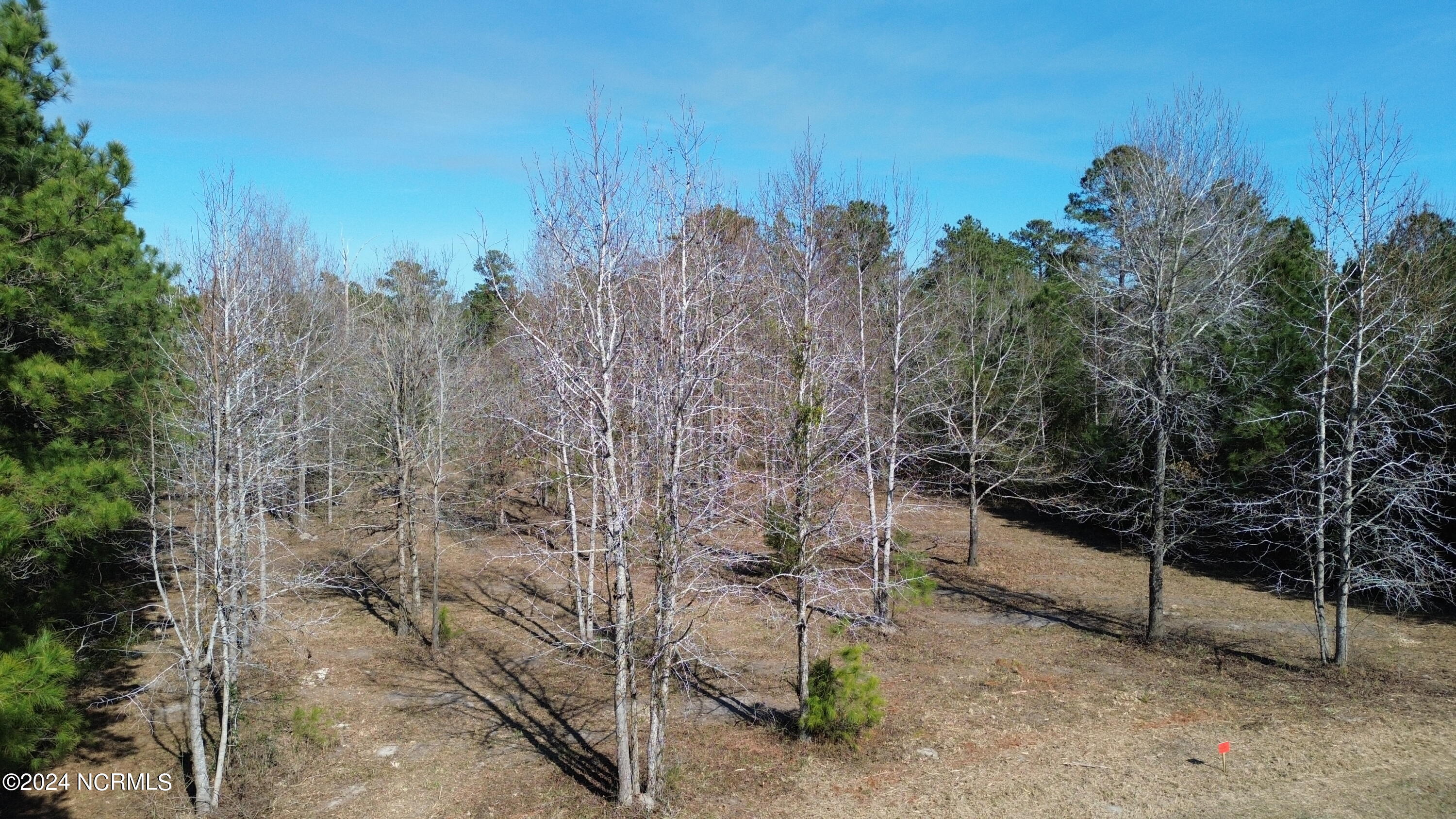 187 Garbacon Drive Beaufort, NC 28516 - Photo 8 of 28 DJI_0060