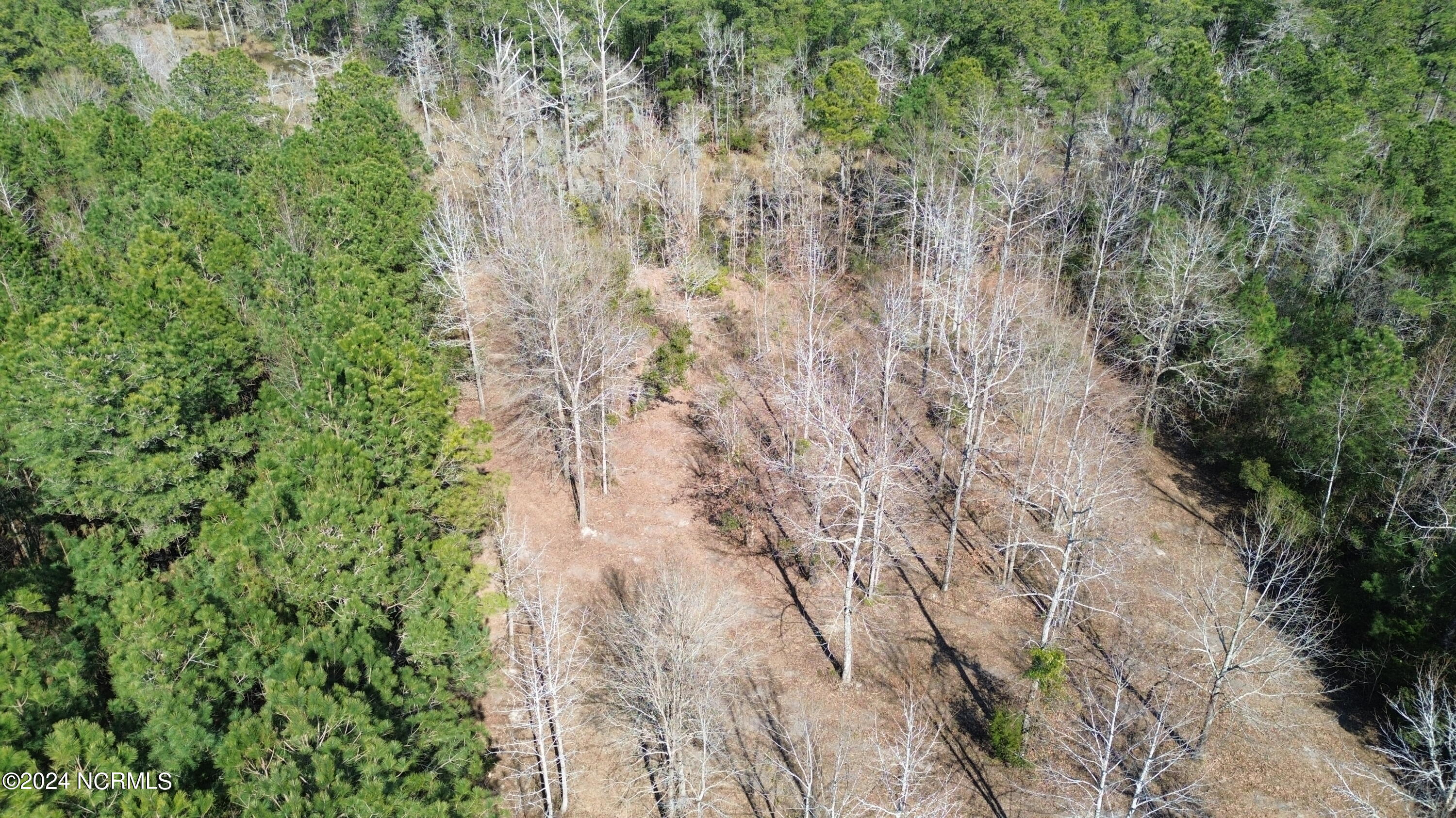 187 Garbacon Drive Beaufort, NC 28516 - Photo 9 of 28 DJI_0061