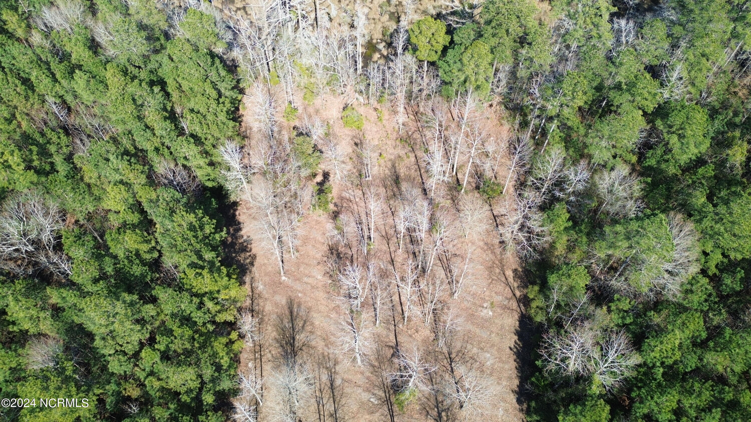 187 Garbacon Drive Beaufort, NC 28516 - Photo 10 of 28 DJI_0063