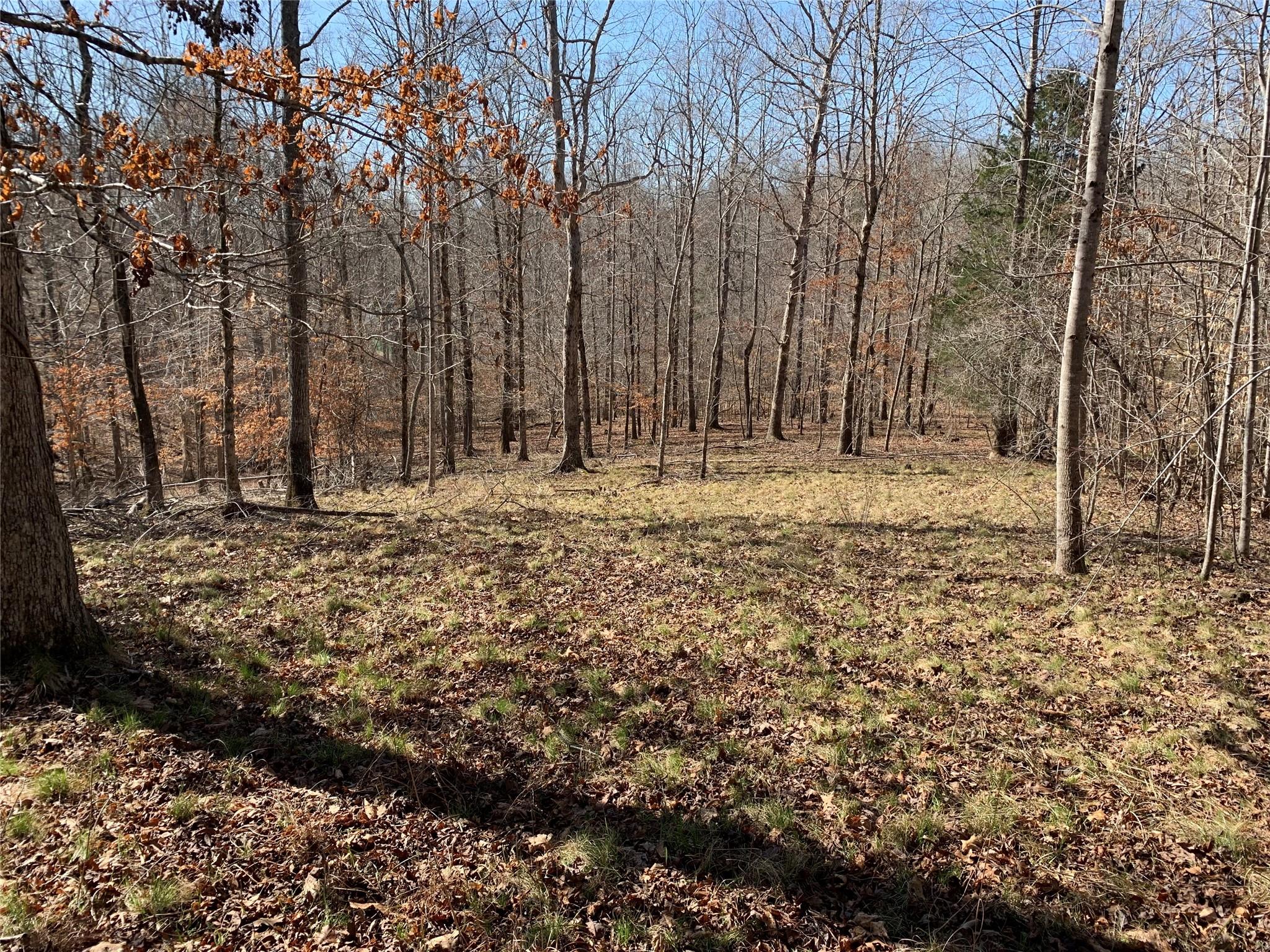 0 Valley Drive, Unit 143 Rutherfordton, NC 28139 - Photo 2 of 24 a view of a yard with trees