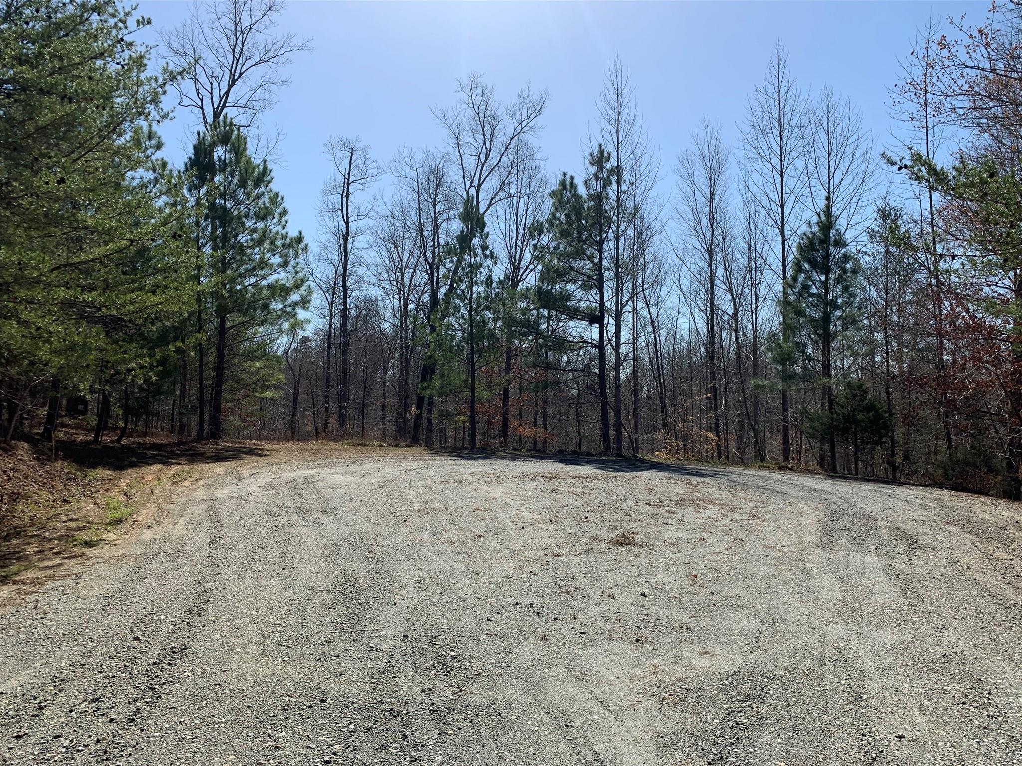 0 Valley Drive, Unit 143 Rutherfordton, NC 28139 - Photo 4 of 24 a view of a yard with trees