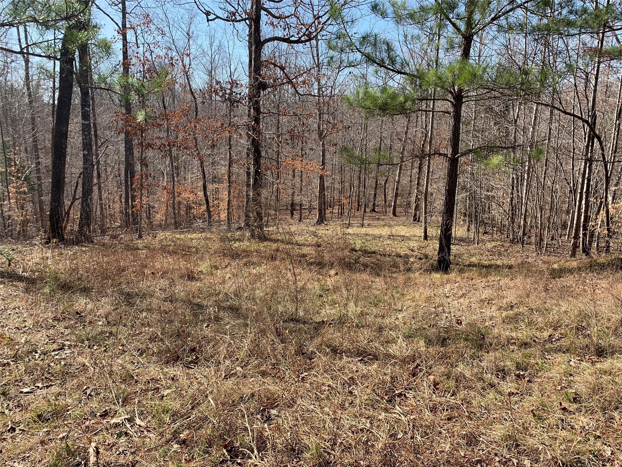 0 Valley Drive, Unit 143 Rutherfordton, NC 28139 - Photo 5 of 24 a view of backyard space and tall trees