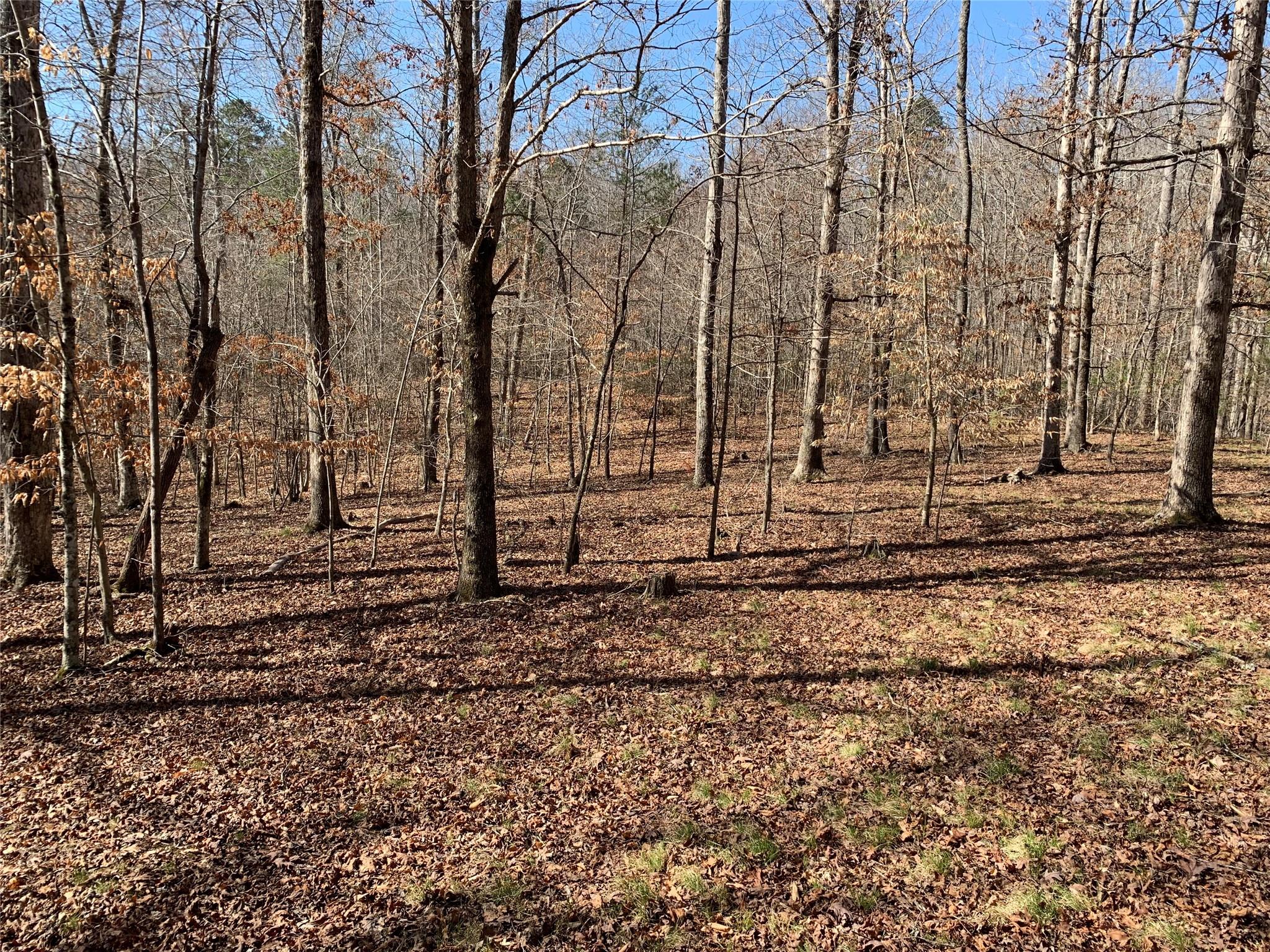 0 Valley Drive, Unit 143 Rutherfordton, NC 28139 - Photo 6 of 24 a view of a backyard of the house