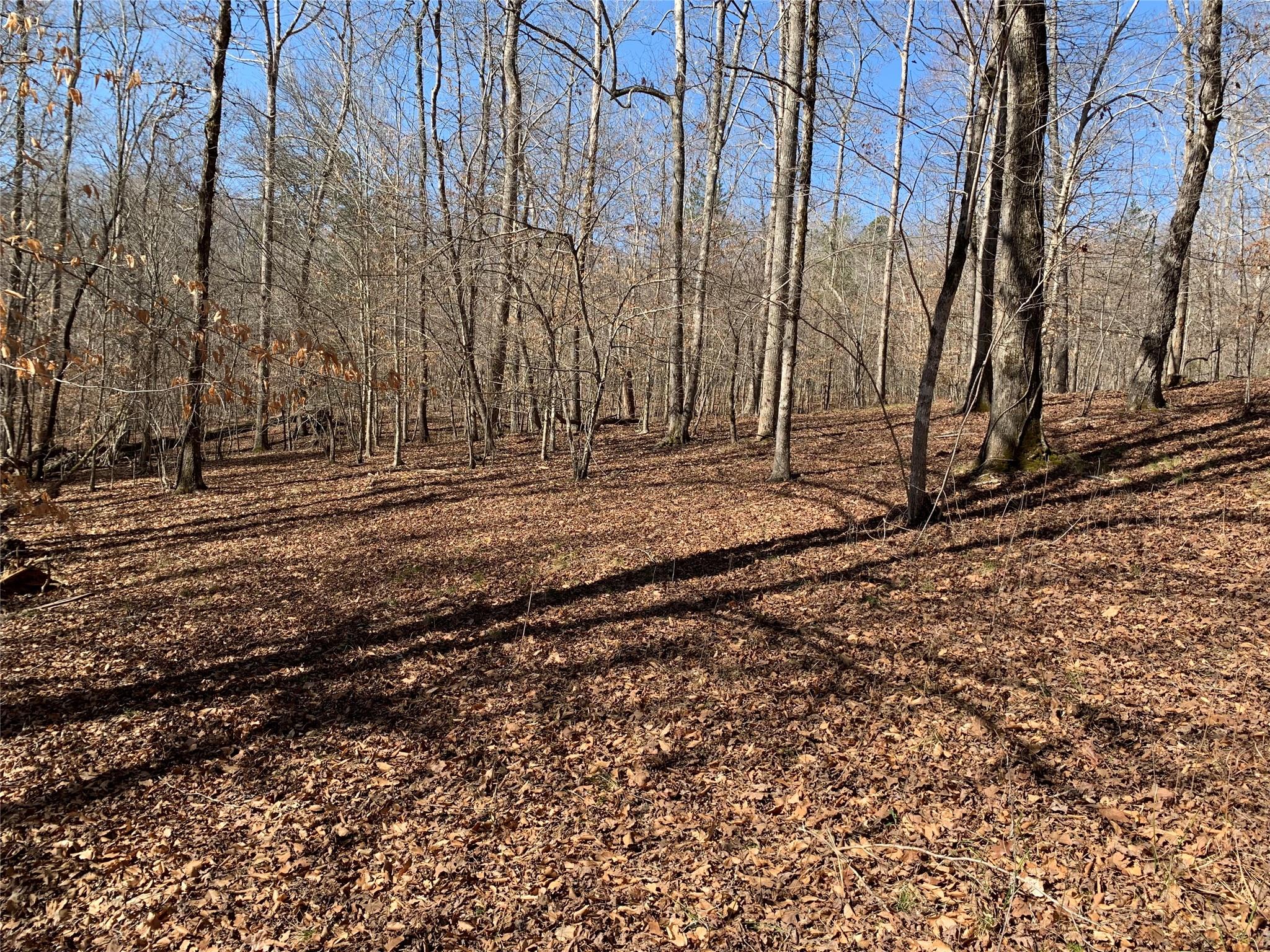 0 Valley Drive, Unit 143 Rutherfordton, NC 28139 - Photo 8 of 24 a view of a yard with wooden fence