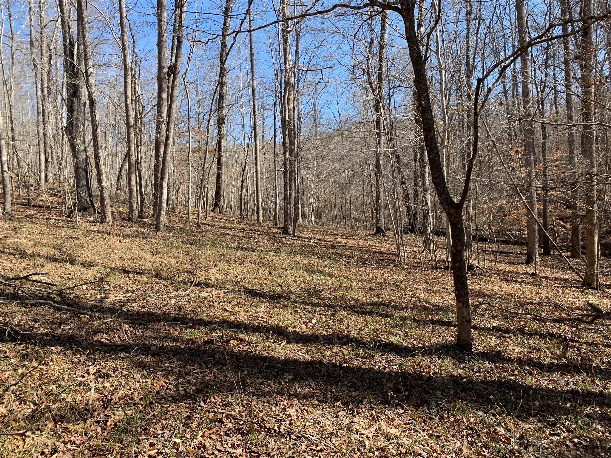 0 Valley Drive, Unit 143 Rutherfordton, NC 28139 - Photo 9 of 24 a backyard of a house with lots of green space