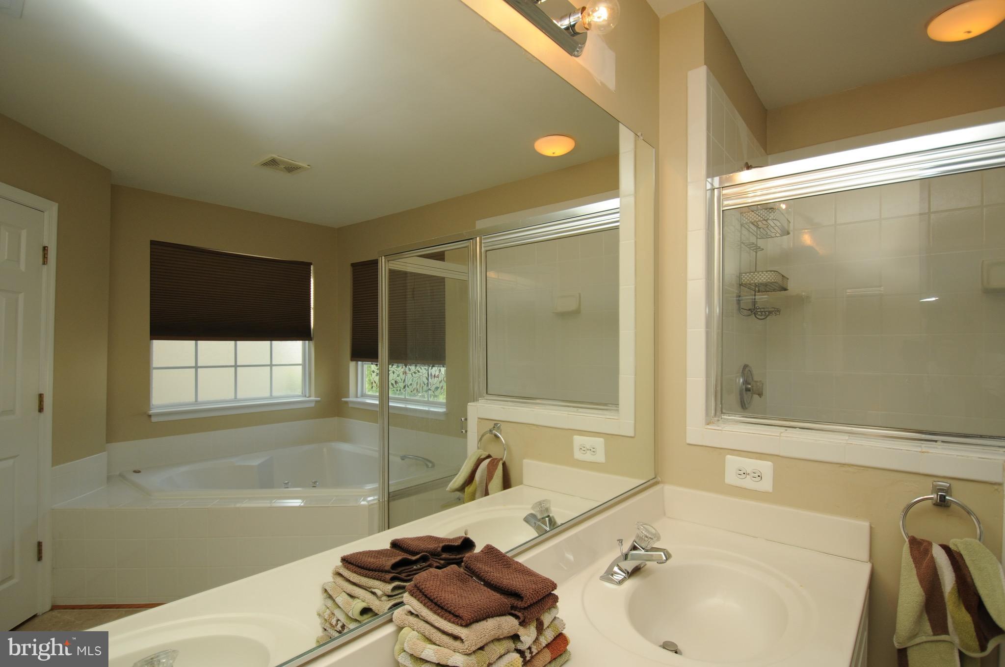 43191 Riders Square Broadlands, VA 20148 - Photo 11 of 22 Master bath suite
