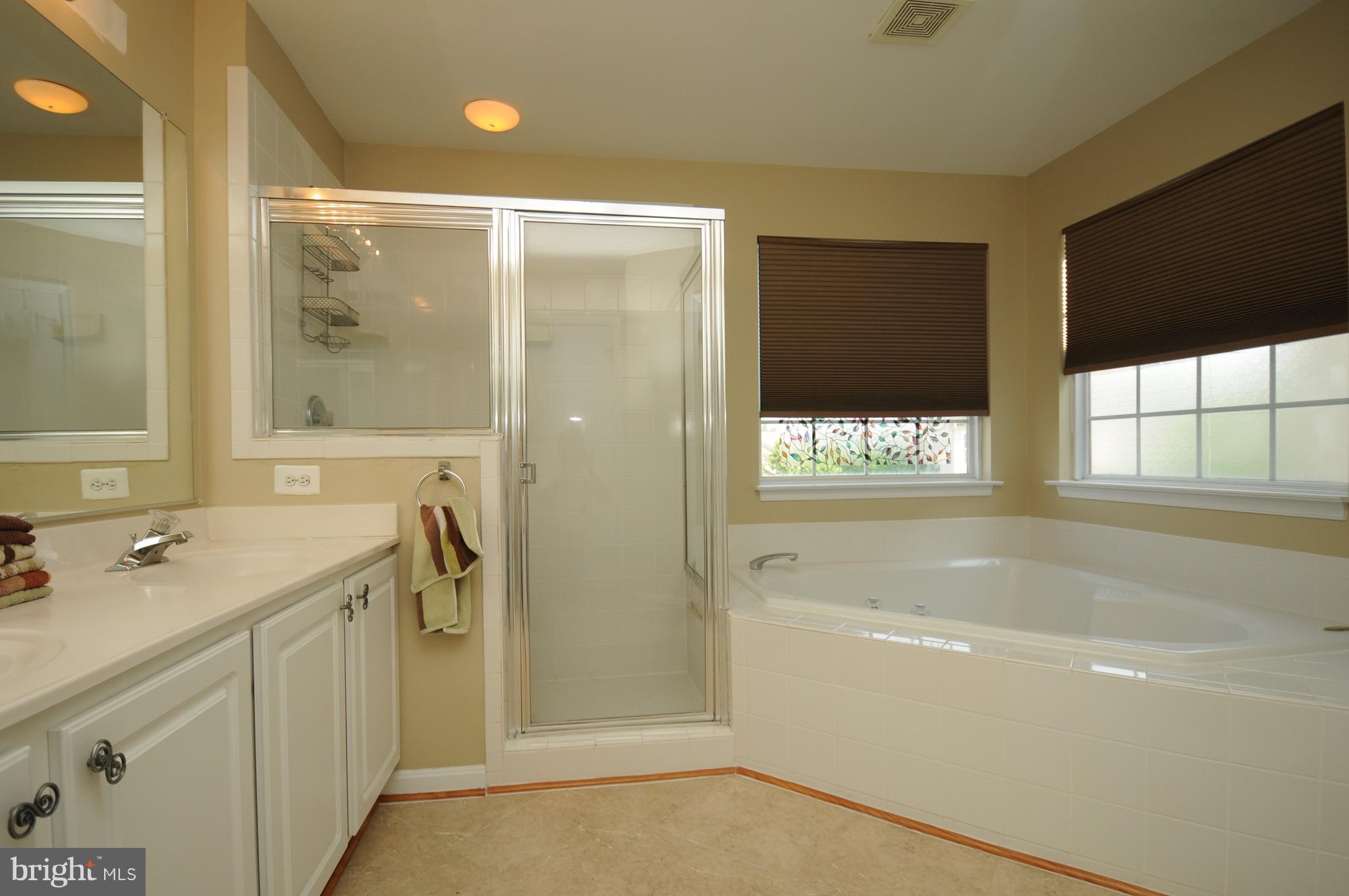 43191 Riders Square Broadlands, VA 20148 - Photo 12 of 22 Soaking tub and separate shower