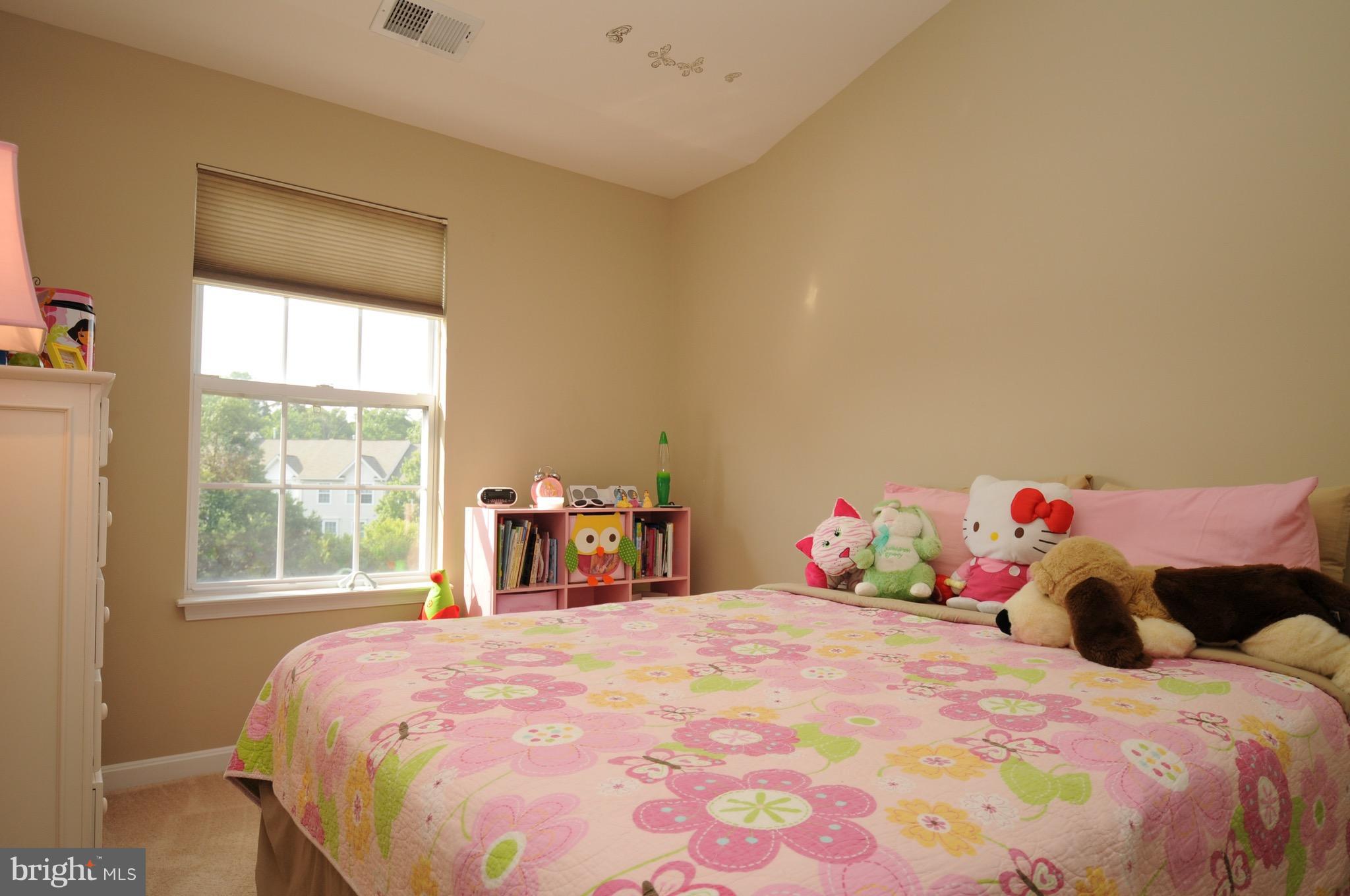 43191 Riders Square Broadlands, VA 20148 - Photo 13 of 22 Bedroom 2