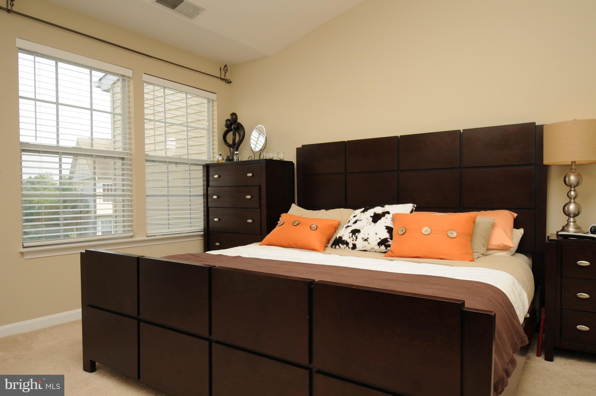 43191 Riders Square Broadlands, VA 20148 - Photo 10 of 22 Large master bedroom